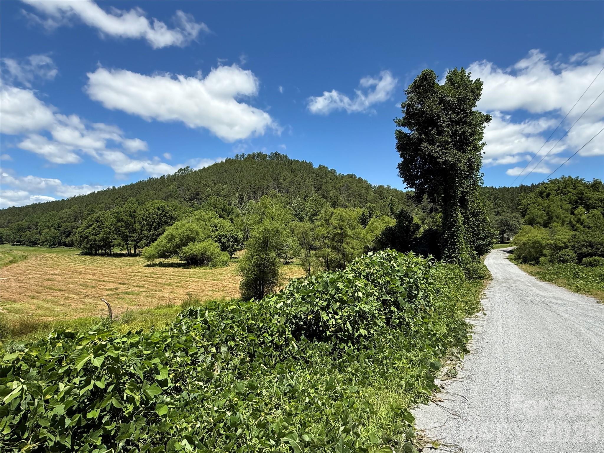 This 651 +- acre tract in the foothills of Rutherford County represents a great opportunity to acquire professionally managed timberland with over a mile of Broad River frontage. The property features extensive logging roads throughout, in addition to access points on privately maintained Thompson Lake Rd and publicly maintained (and paved) Matthews Church Rd. With an extensive timber resource providing current and future harvest possibilities, the property really is an increasingly rare comindation of size, accessibility, river frontage, and fairly gentle topography that lends itself to multiple ownership strategies. The land is quite private, and the topography lays very well, offering a diverse range of ridgelines, hollows, springs, knoll tops, and abundant river frontage. Keep the property in timber production (enrolled in present-use timber program), or explore recreational, private estate, conservation, or subdivision uses. All told, Broad Mountain represents a rare Western NC large-acreage offering with varied options for long-term uses to realize investment value.