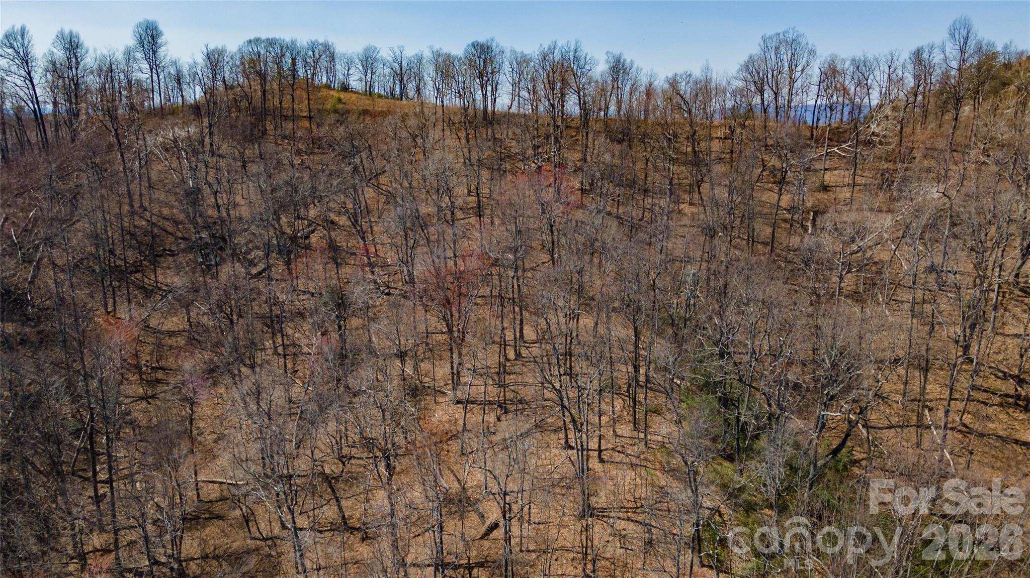 Queens Gap - Land