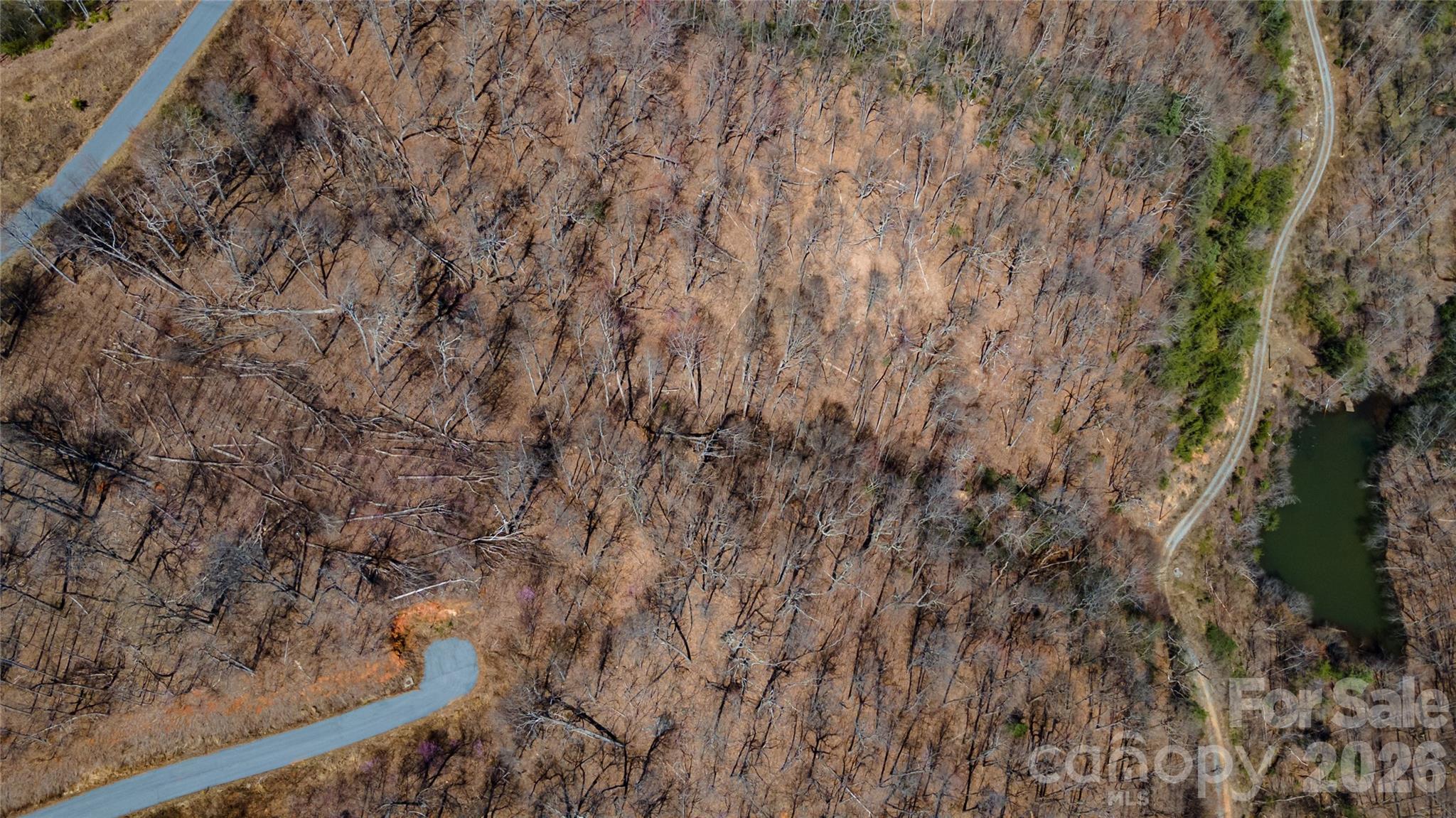 Queens Gap - Land