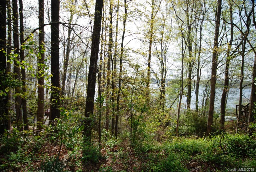 Build your dream home and enjoy your evenings watching the sunset or mornings watching the sunrise from your beautiful  home overlooking Lake Wylie.  Fantastic BIG waterviews from this heavily wooded basement lot.  Vacation every day in your Tega Cay home.   Tega Cay is a small suburb of Charlotte with excellent schools, low taxes and offers an easy commute to Charlotte.  Popular Tega Cay has been written up in numerous magazines & articles. Safest city in SC. #2 home value in nation!