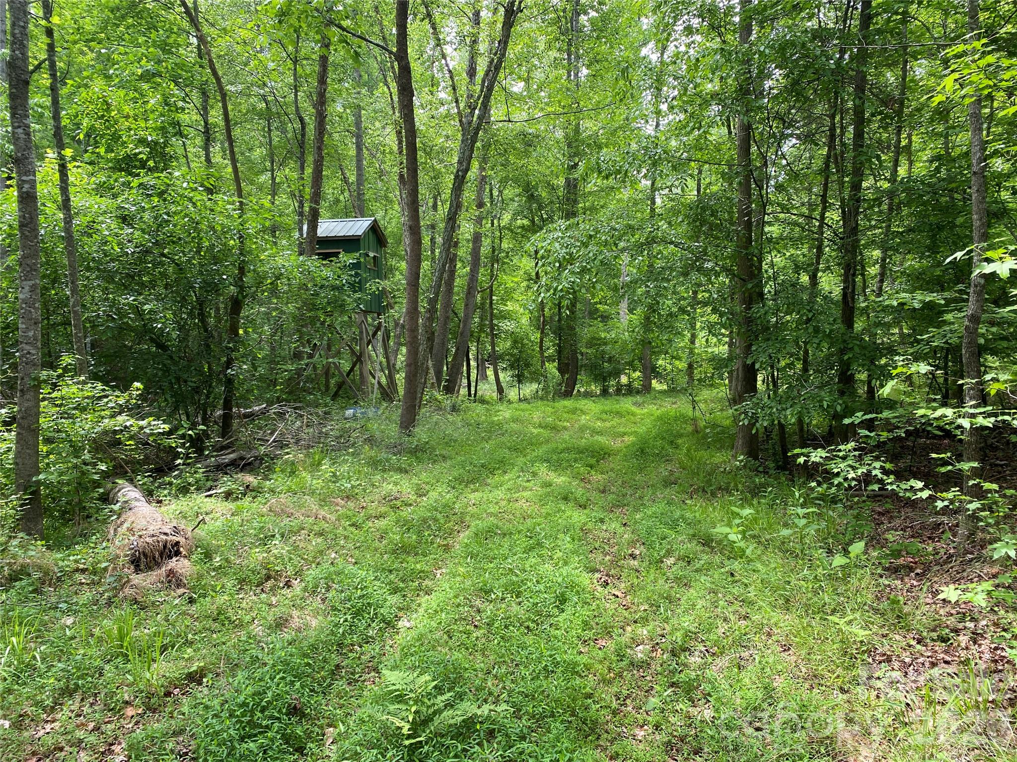 This 1.81-acre creek front property offers a rare opportunity to own a private, ready-to-use tract with excellent recreational and residential potential. Located on a quiet, lightly traveled road, this parcel provides the seclusion and peaceful setting sought by outdoor enthusiasts, and those looking to build a custom home or weekend getaway. The property features a partially cleared homesite, making it easier to envision and begin construction of a tiny cabin, custom stick-built home, or to simply set up an RV for year-round camping use.

A defining feature of this tract is the beautiful creek that flows along the back of the property. With easy access all the way down to the water, the land invites relaxation, exploration, and enjoyment of nature. The creek not only enhances the scenic value but also provides a natural draw for wildlife, making this property appealing for outdoor enthusiasts. A hunting box stand is already in place and will convey with the sale, adding immediate functionality for hunters, kids treehouse or just quietly viewing the wildlife. 

The property is equipped with practical improvements that add value and convenience. County water is available at the front of the lot, and the tap fee has already been paid, saving both time and upfront expense for future development. Access to the property is straightforward, allowing for easy entry whether you are bringing in building materials, parking an RV, or simply visiting for a weekend retreat.

Minimal restrictions are attached to the property, offering flexibility for a variety of uses while still maintaining the integrity of the surrounding area. Whether you are seeking a quiet place to build your primary residence, a seasonal getaway, or a recreational basecamp for hunting and outdoor activities, this tract provides the versatility to meet your needs.

With its combination of creek frontage, build-ready terrain, existing improvements, and private setting, this 1.81-acre property stands out as a manageable and desirable investment. Properties of this size with water features and utilities in place are increasingly difficult to find, making this an excellent opportunity to secure your own piece of land for recreation, relaxation, and future development.