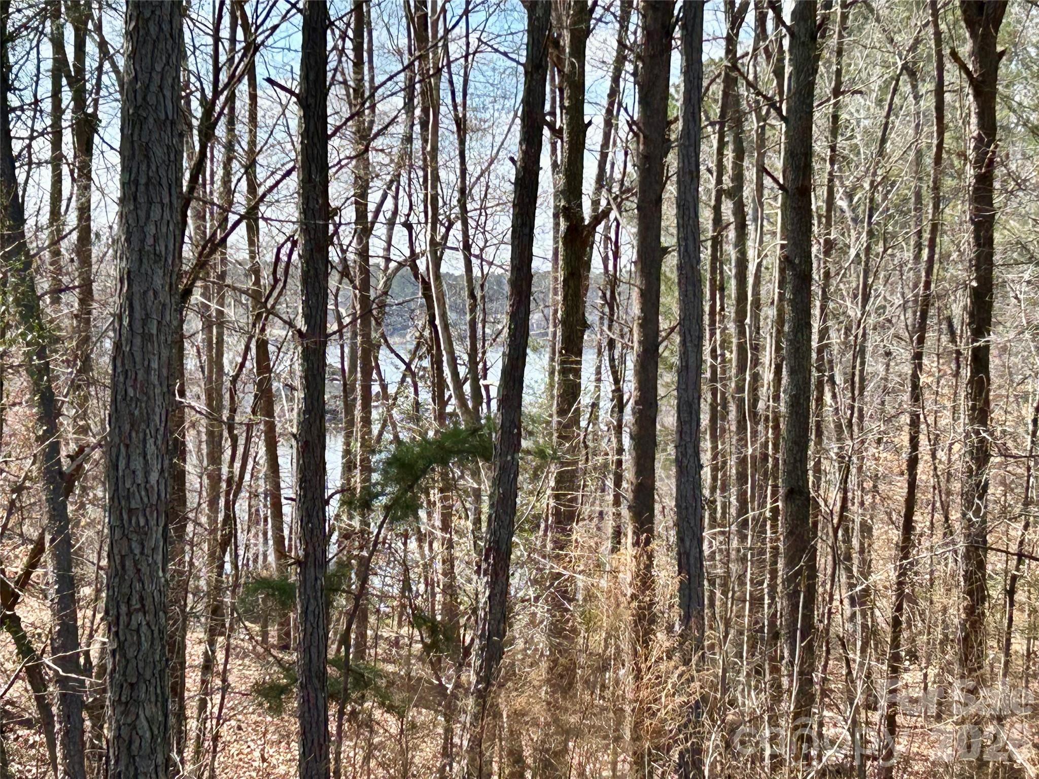 Swift Island Plantation - Land
