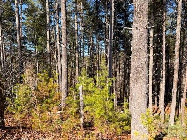 The Peninsula at Lake James - Land