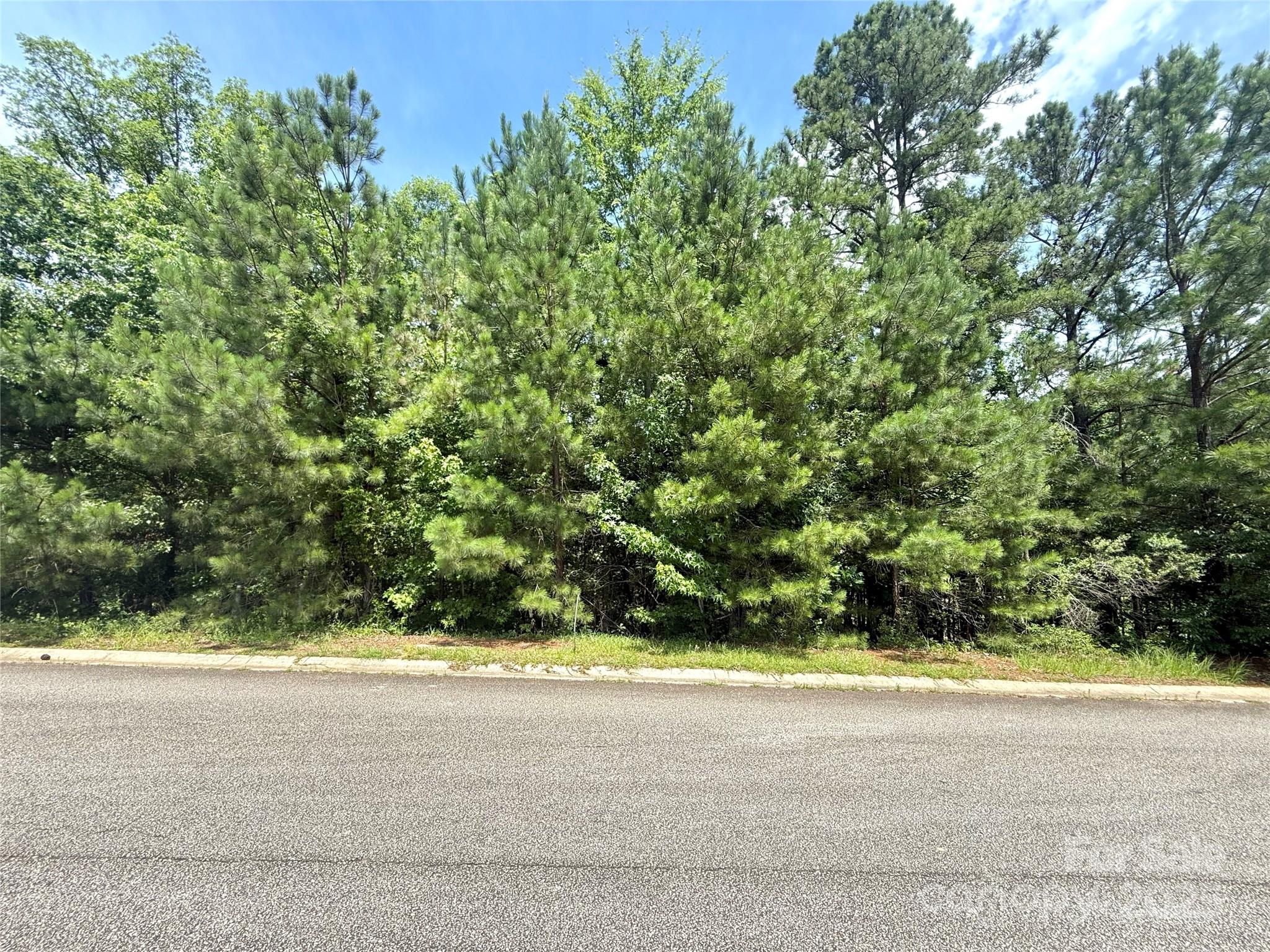 One of two lots being sold next to each other in the lovely College Place neighborhood. Such a great location close to 521 for easy access, USC Lancaster, and everything else in Lancaster. These lots have water and sewer access, but taps will need to be purchased by the buyer. College Place requires a minimum build size to be at least 1,600 square feet. These lots are best suited for a tall crawlspace or basement foundation. If both lots are purchased together it would make for one huge lot with plenty of room!