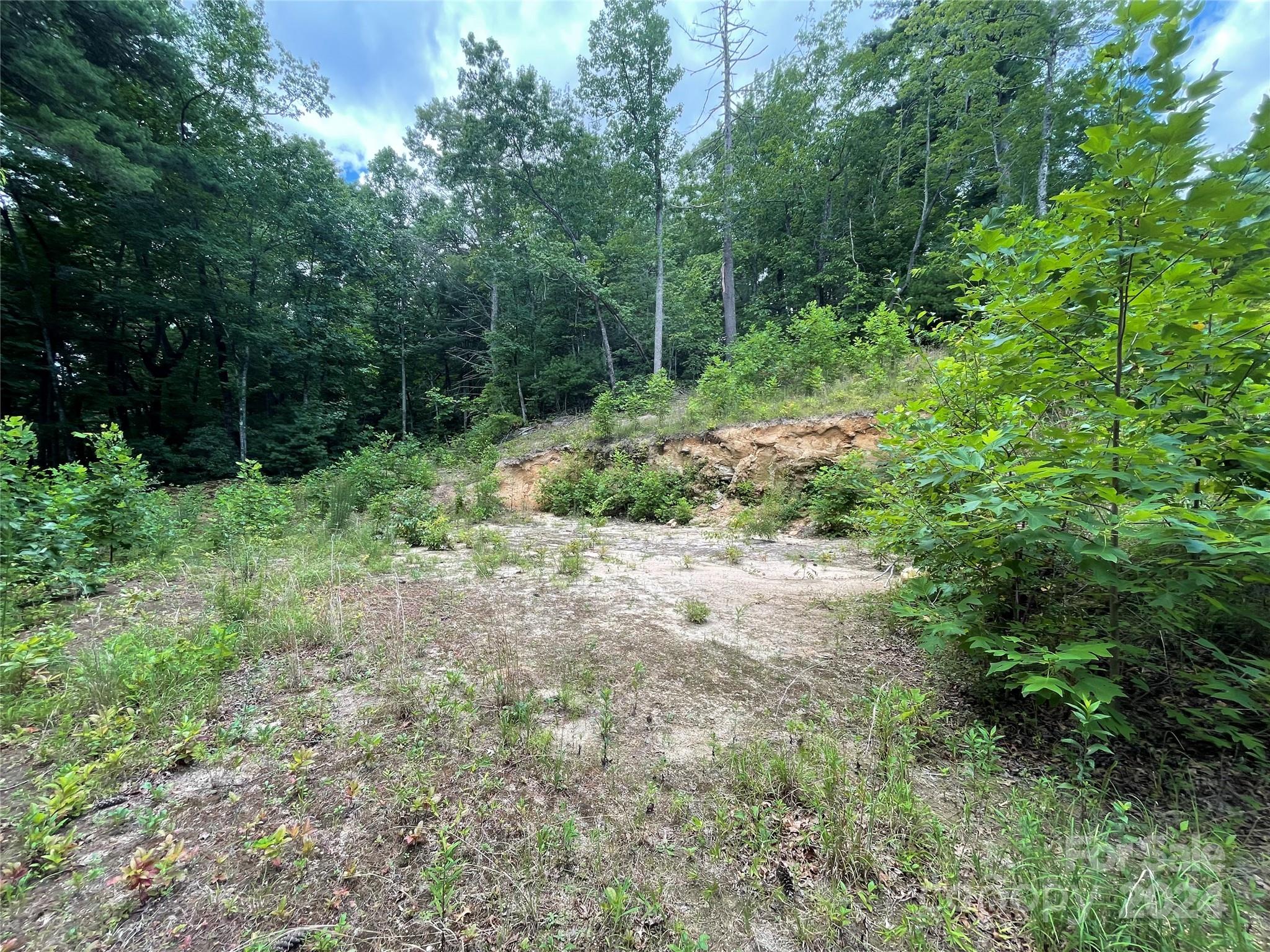 Hickory Run - Land