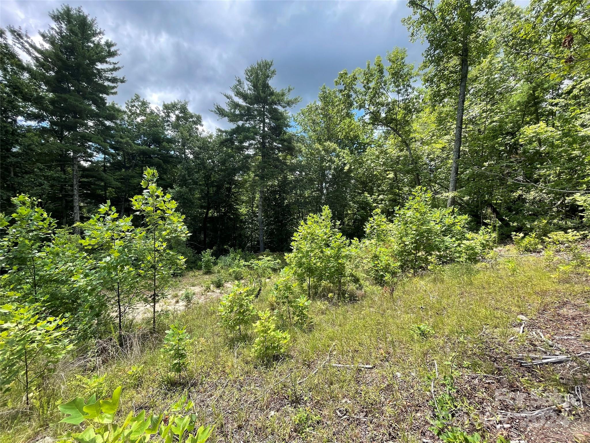 Hickory Run - Land