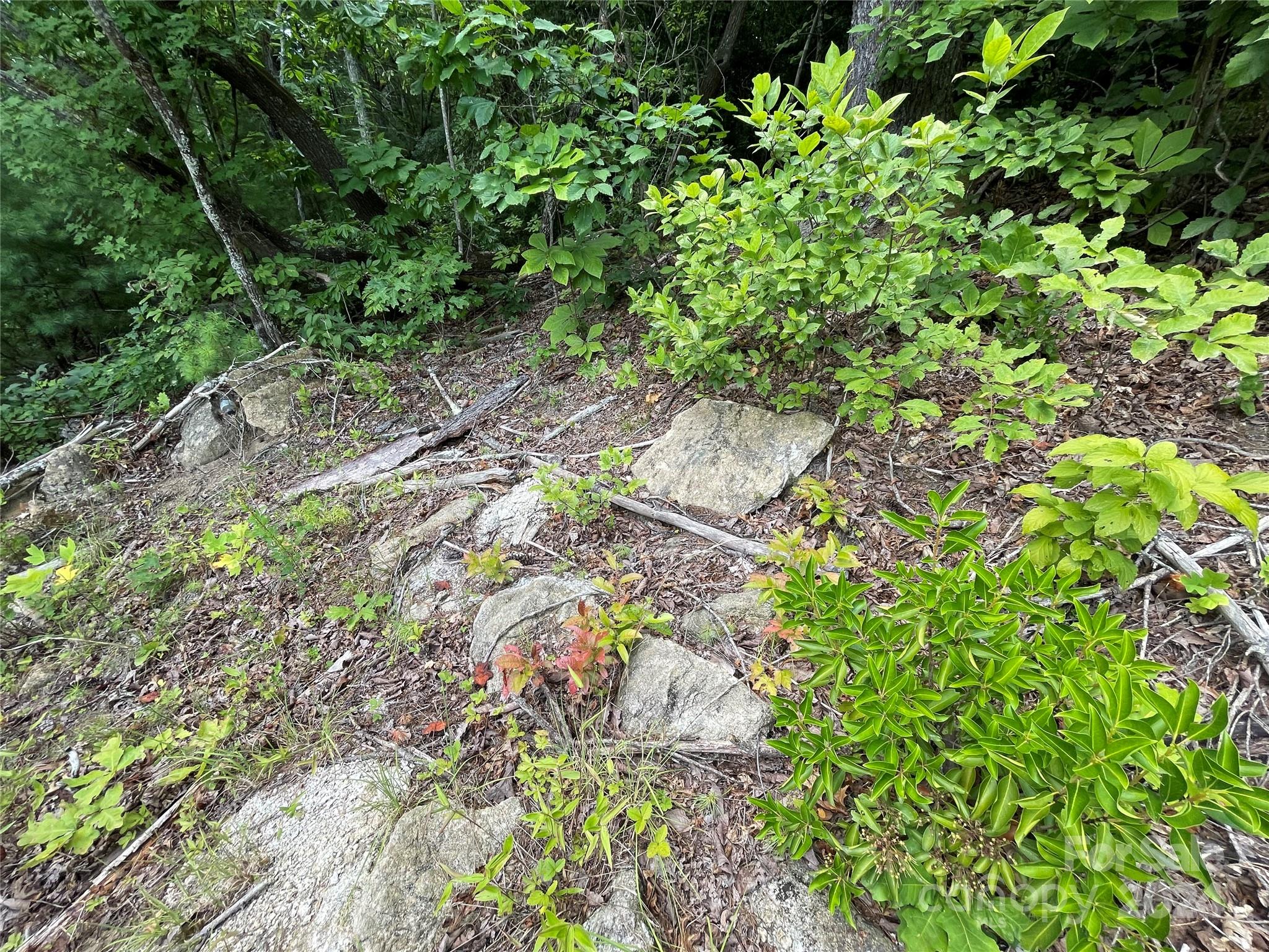 Hickory Run - Land