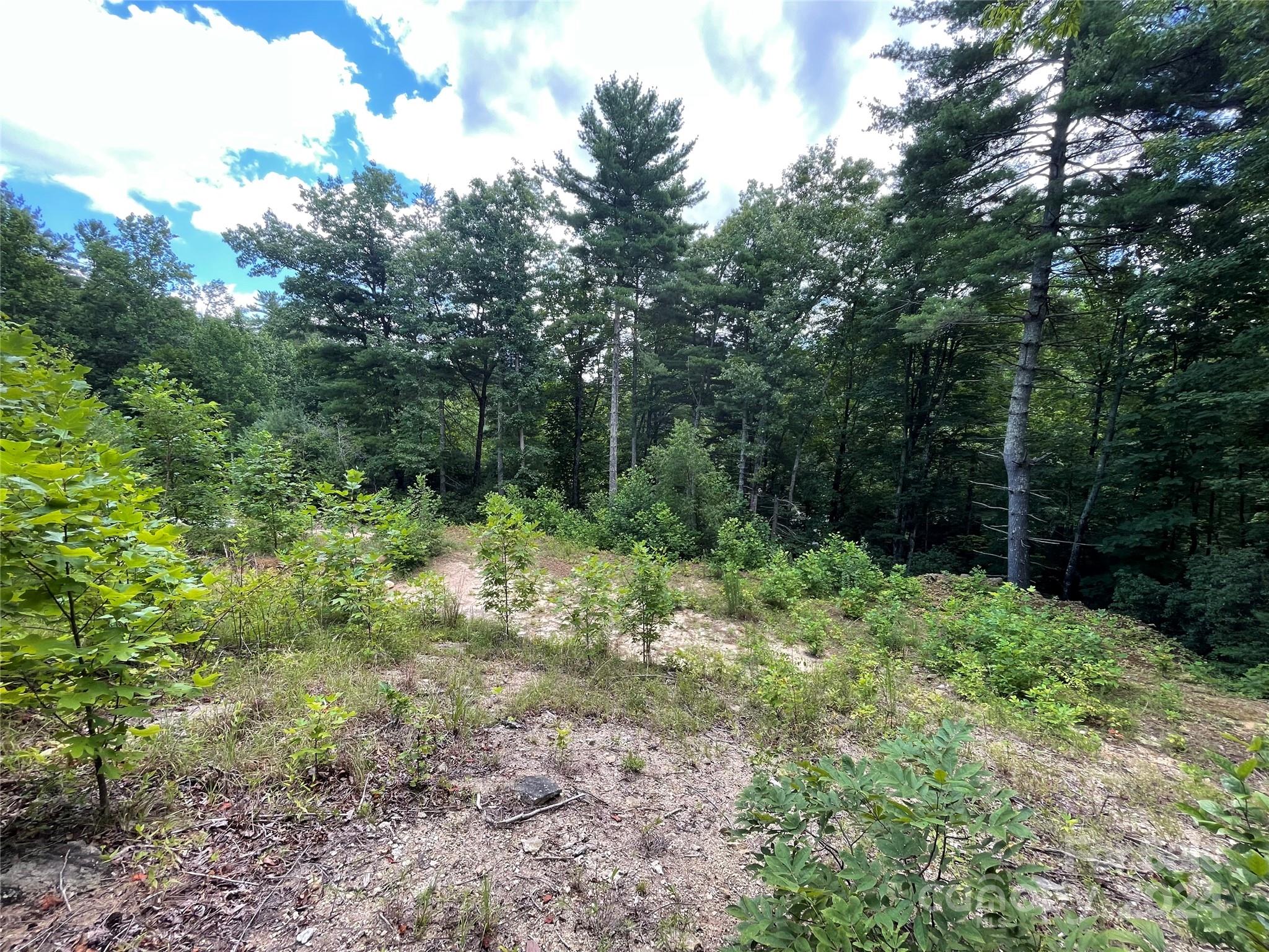 Hickory Run - Land