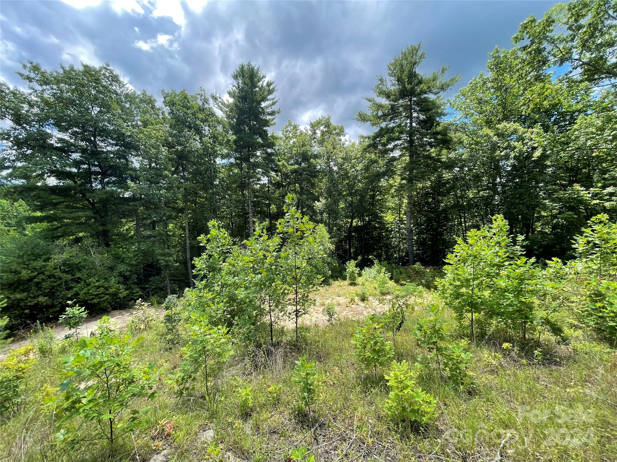 Hickory Run - Land
