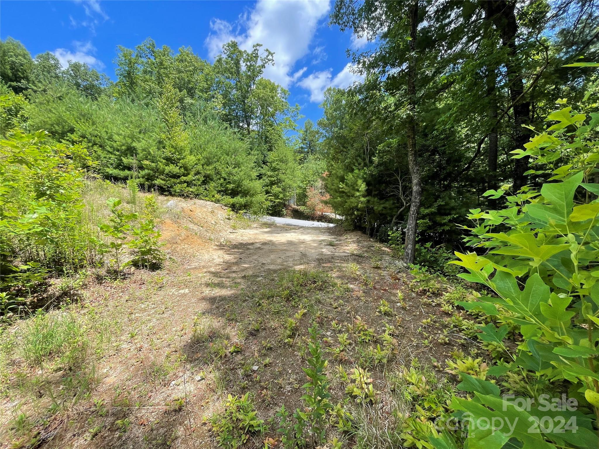 Hickory Run - Land