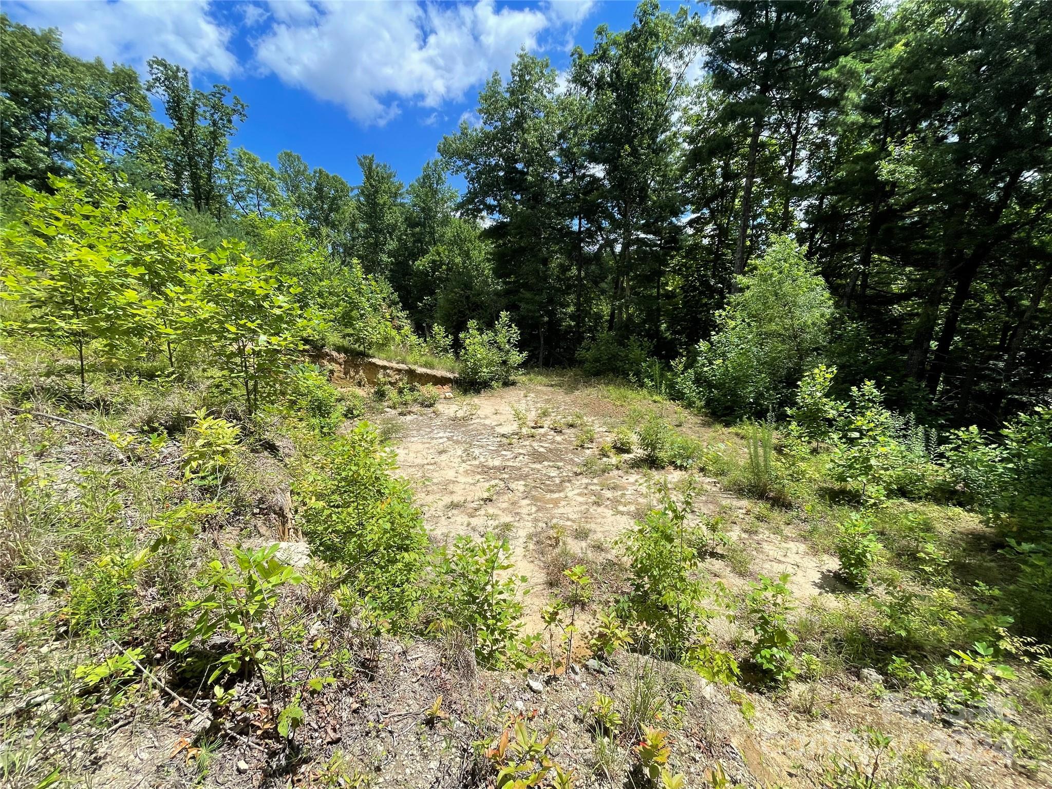 Hickory Run - Land