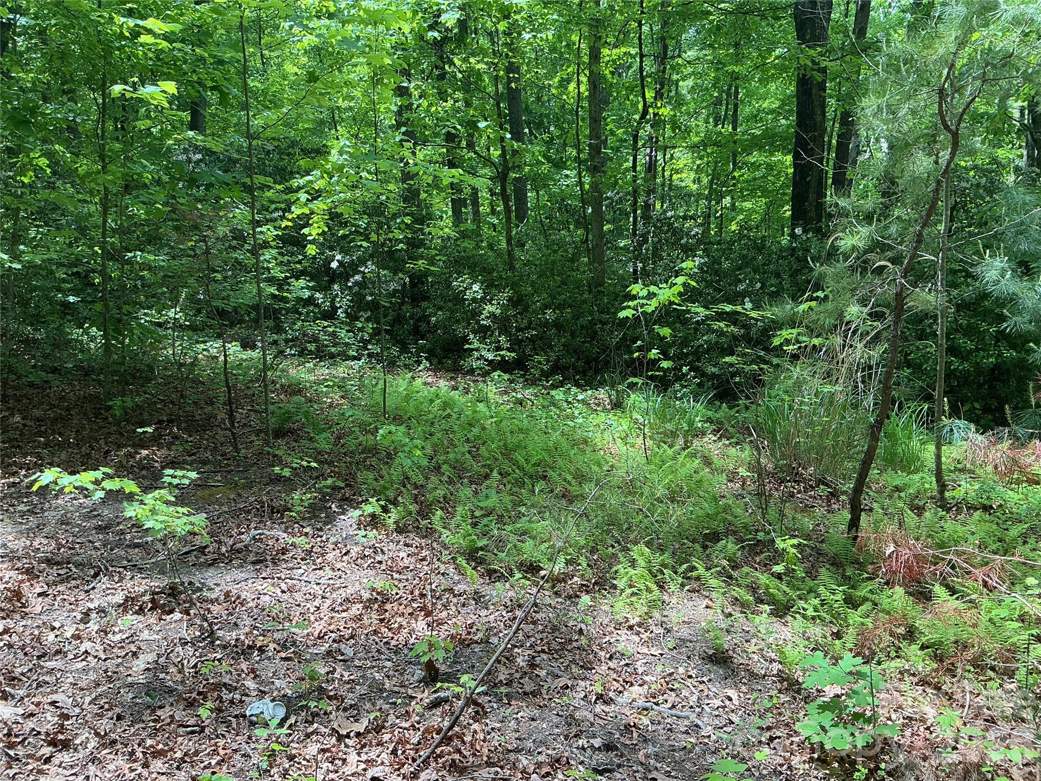 Two adjacent lots being sold together very close to the Green River and the Fishtop access area. These two lots have a shared driveway in place with access from the Green River Cove Road. There are two nice building sites on the lots. One is at the bottom of the lots on the right as the driveway is entered. The second is at the top of the lots at the end of the driveway on the left. The driveway crosses two additional lots that lead to a residence and then bends to the left to access the upper portion of the lots. There is no legal access to Riversound Drive.