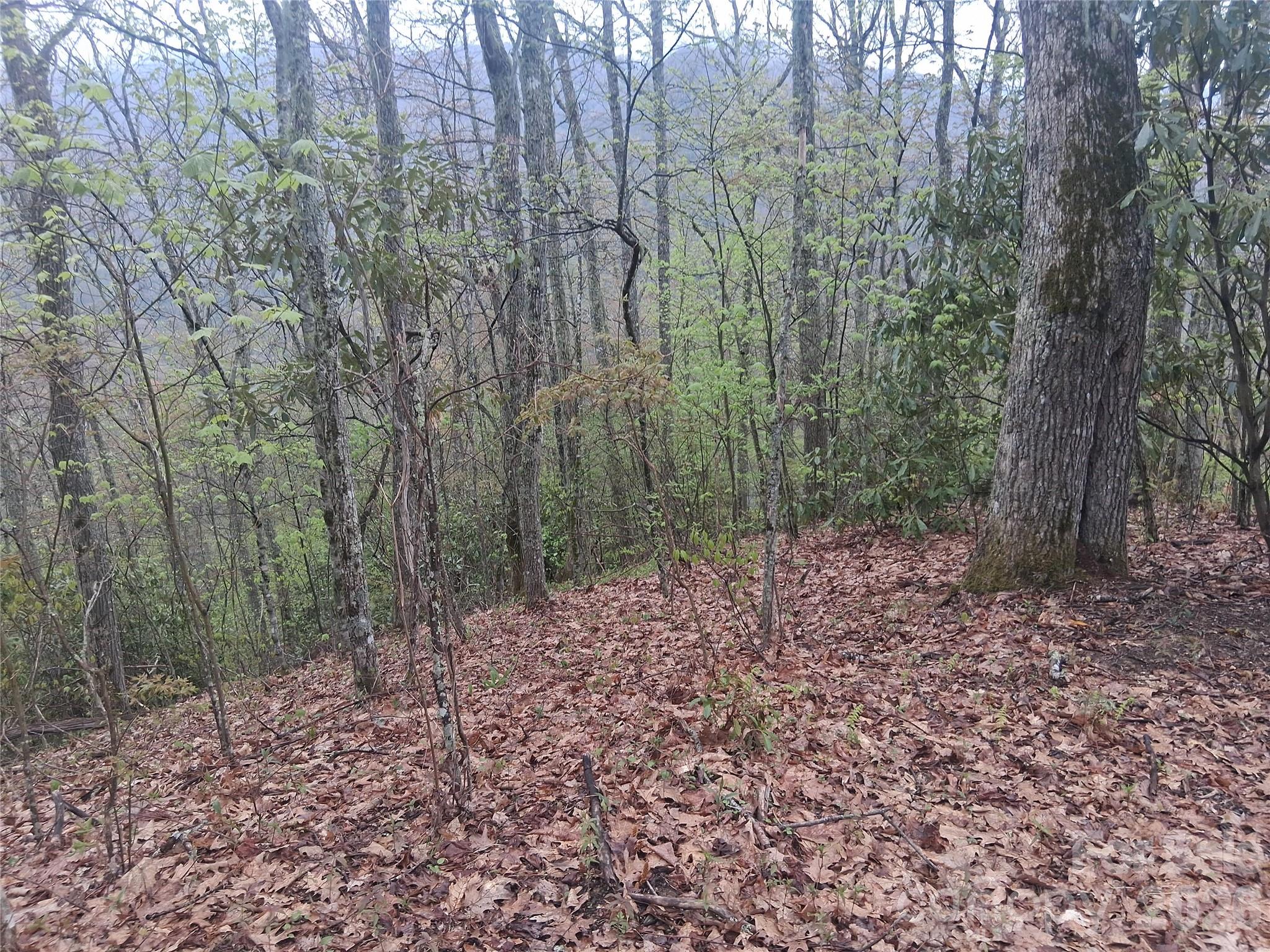 5 acres at a COOL 4500 ft. elevation !  Beautiful area to enjoy nature and abundant wildlife, mostly wooded, private setting. Possible Mountain Views with some tree trimming. When at the property, from real estate sign at intersection of Eagle and Bear Creek. Sign says (Eagle Rd) Look for yellow ribbon and follow out the path on the Knol to possible house site.  Great place to build a cabin for enjoying nature and hiking, build a second home, or just get away from it all.