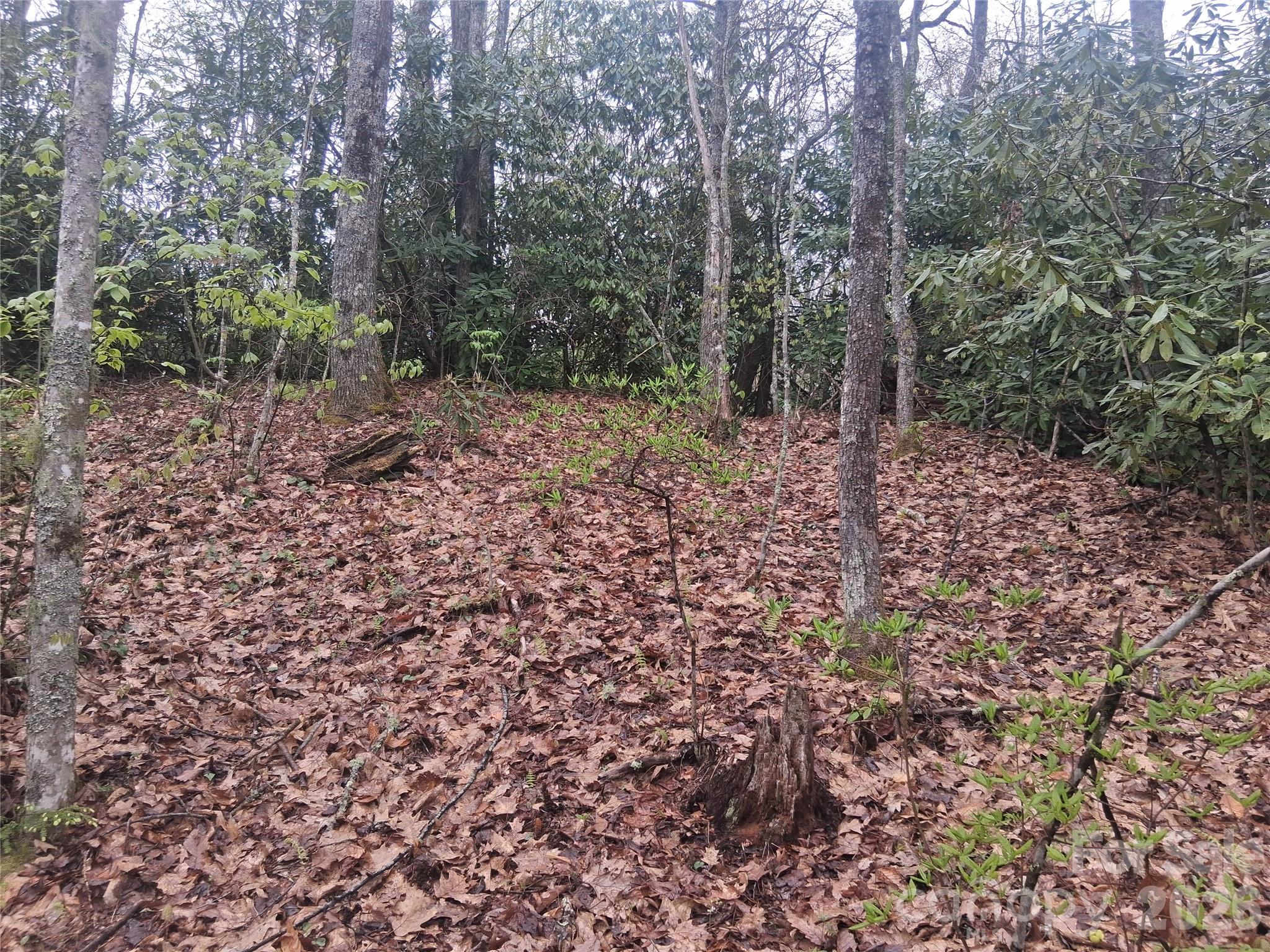 Smokey Mountain Acres - Land