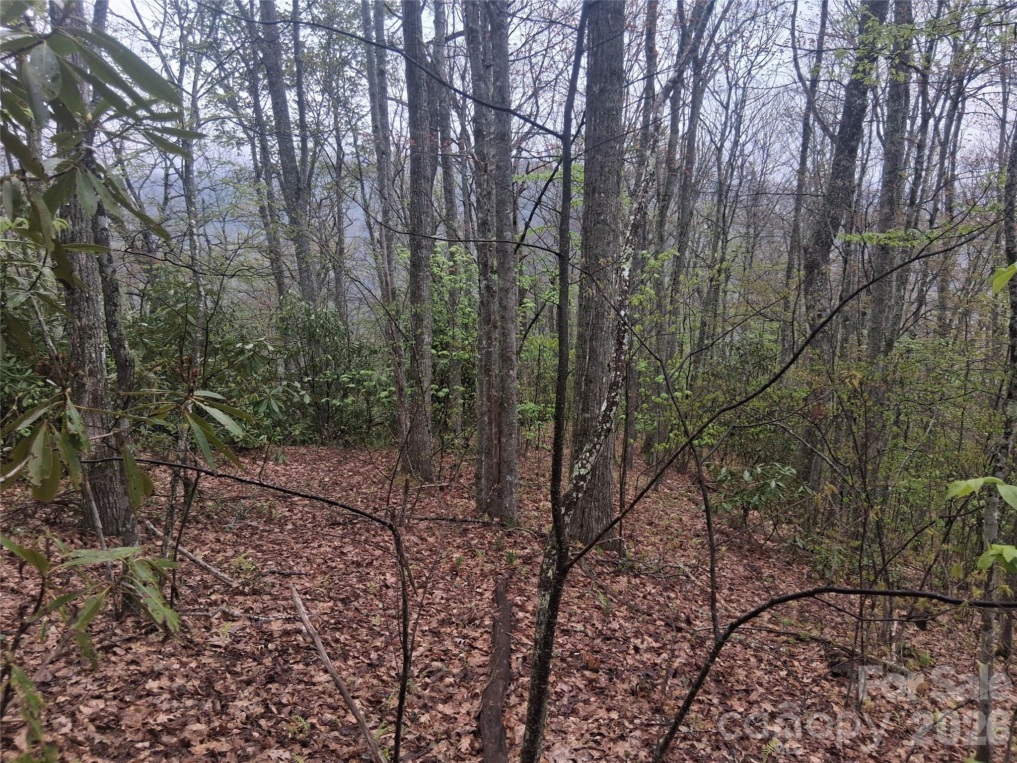Smokey Mountain Acres - Land