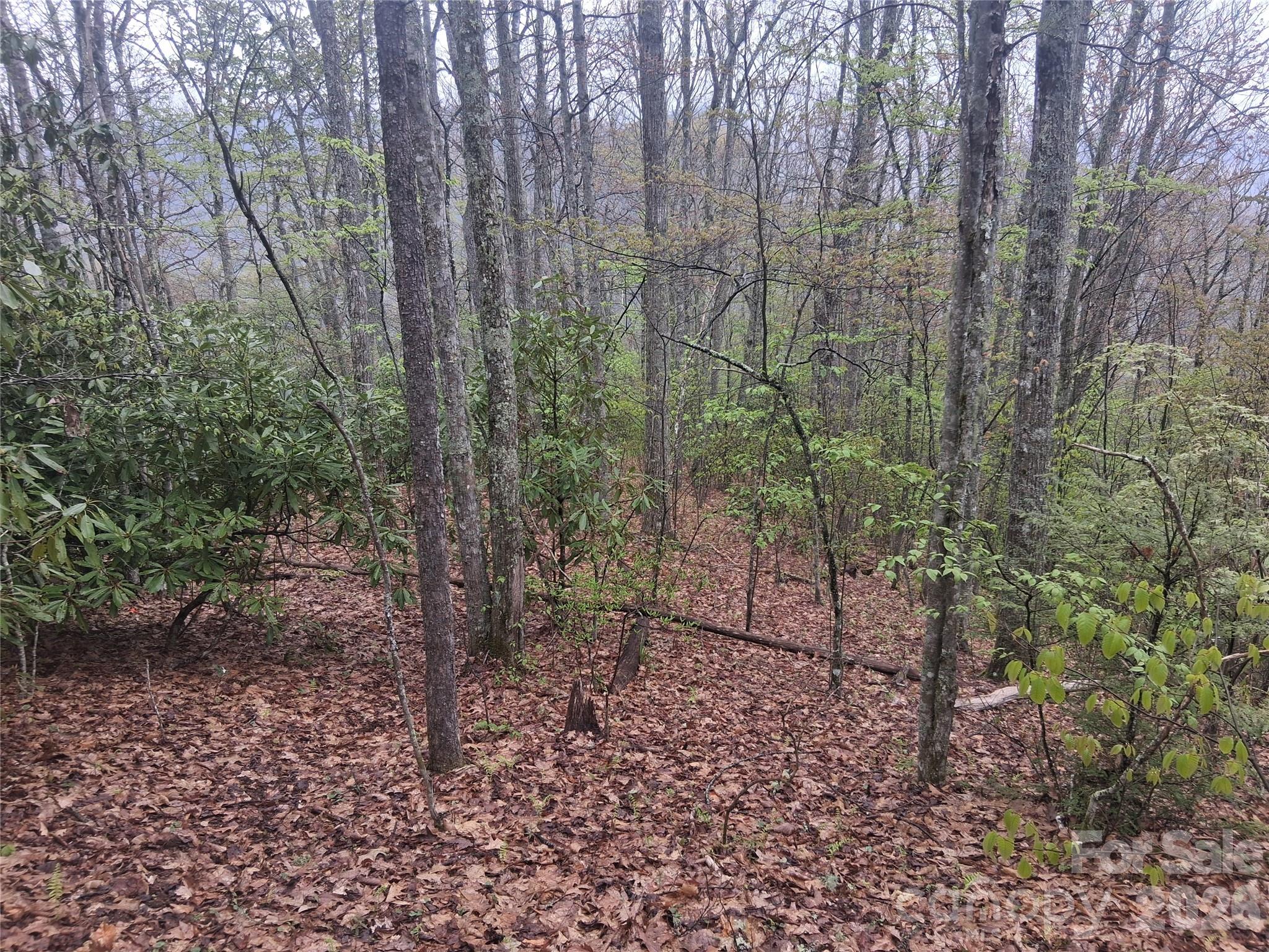 Smokey Mountain Acres - Land