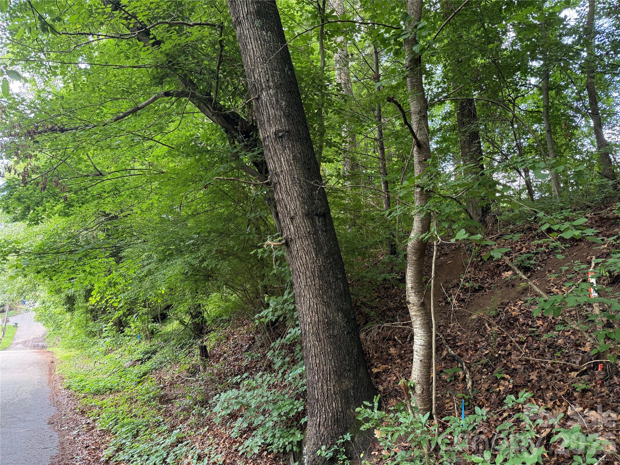 Buildable lot located close to all Biltmore Village and Downtown Asheville have to offer.