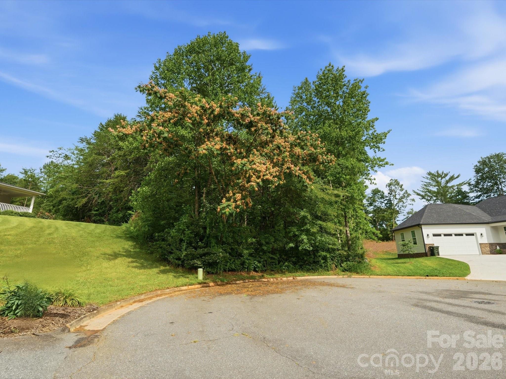 Catawba Springs - Land
