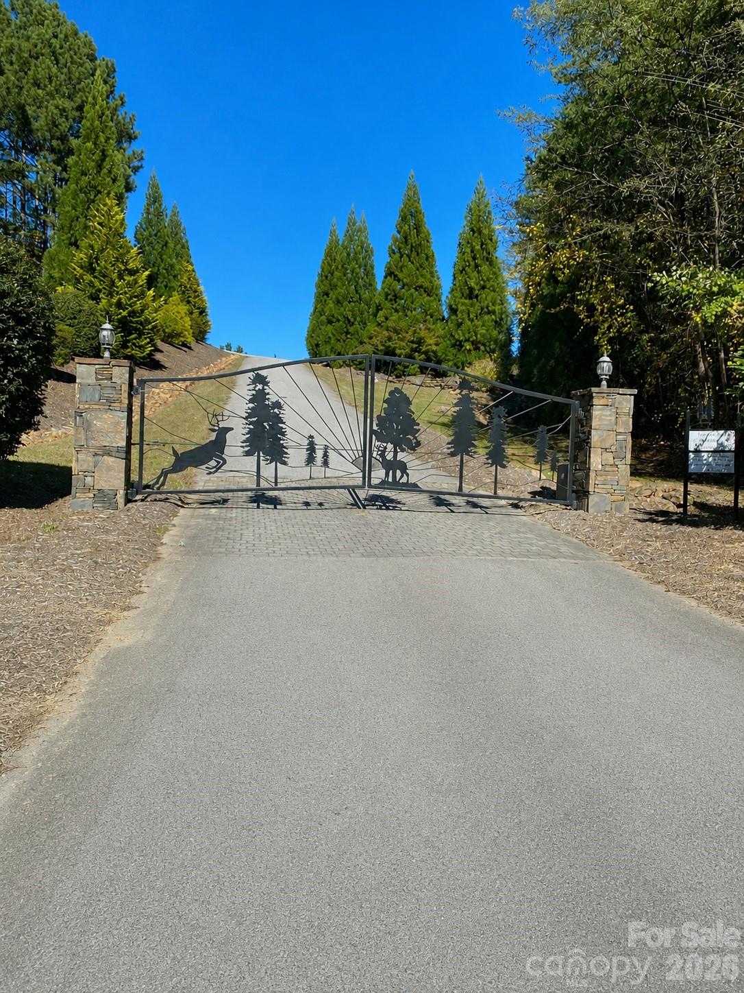 The Pinnacle at Ridgeview - Land