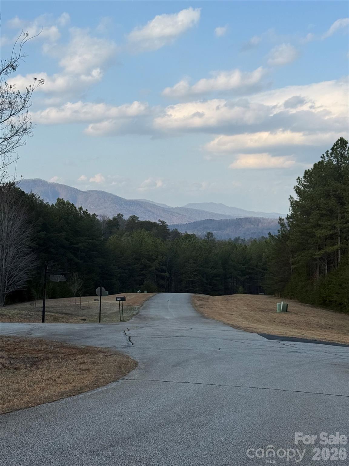 The Pinnacle at Ridgeview - Land