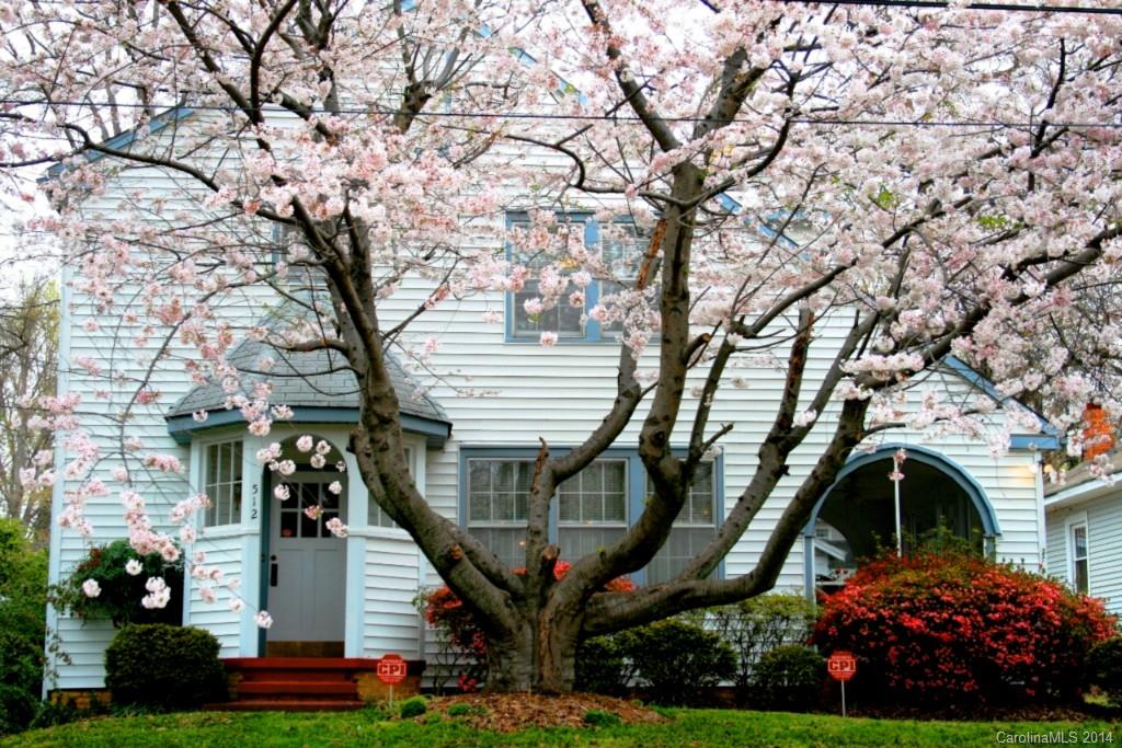 Quaint home in the York Chester Historic District. Spacious 3 bedroom, 1.5 bathroom, 2 story. Workshop basement. Detached garage. Sitting porch. Large closets with one walk in. Pets allowed with $250 pet fee per pet. Move in ready.
