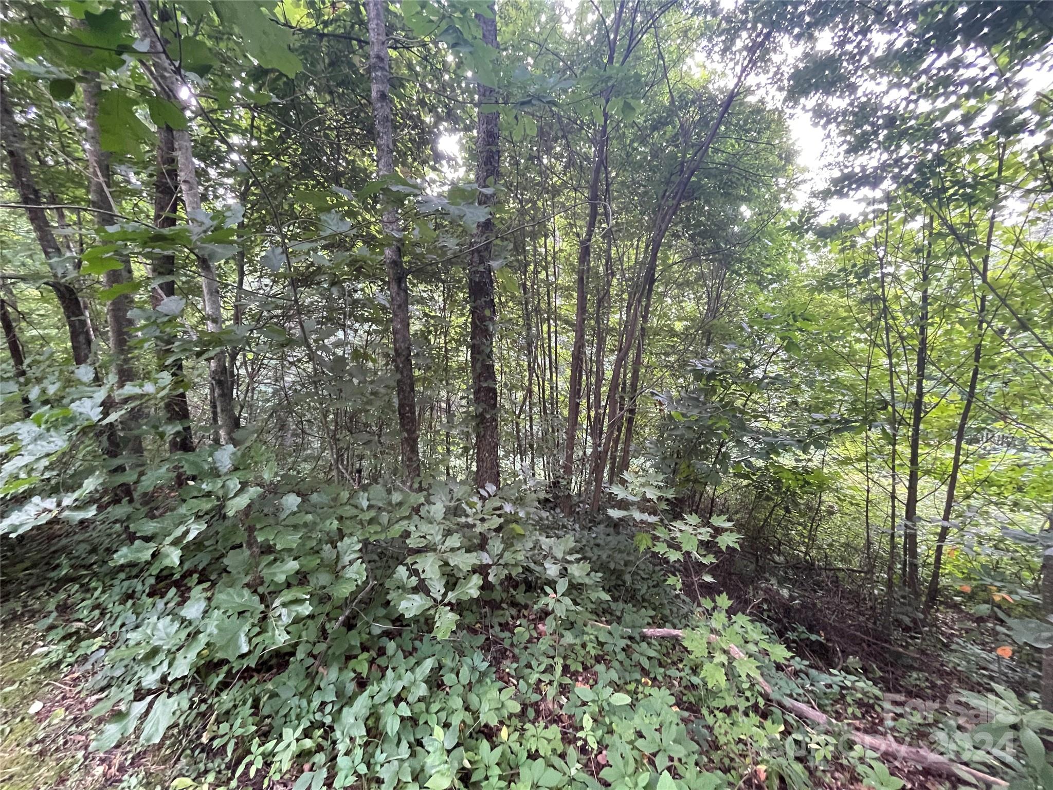 Friendly Acres - Land