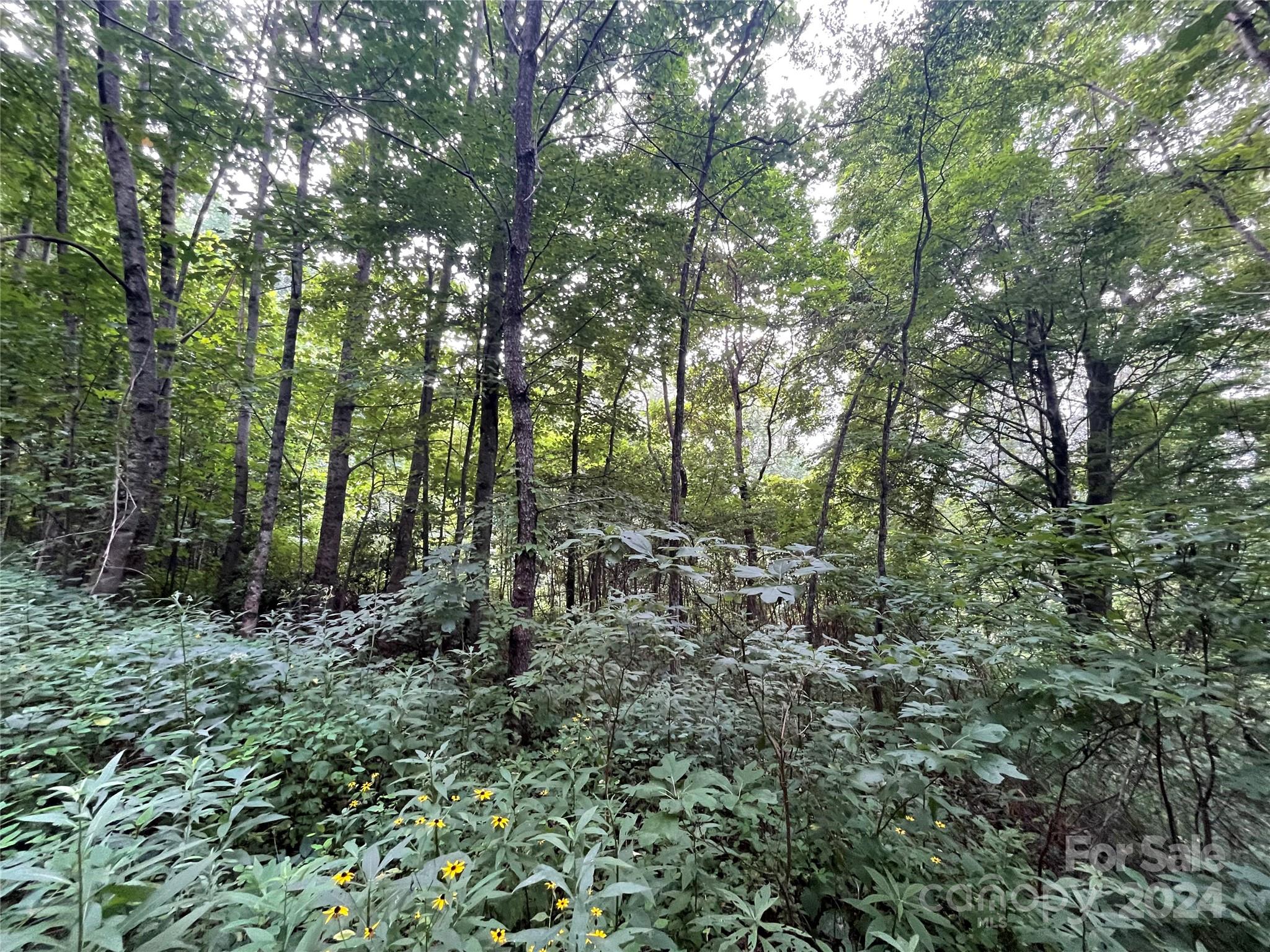 Friendly Acres - Land
