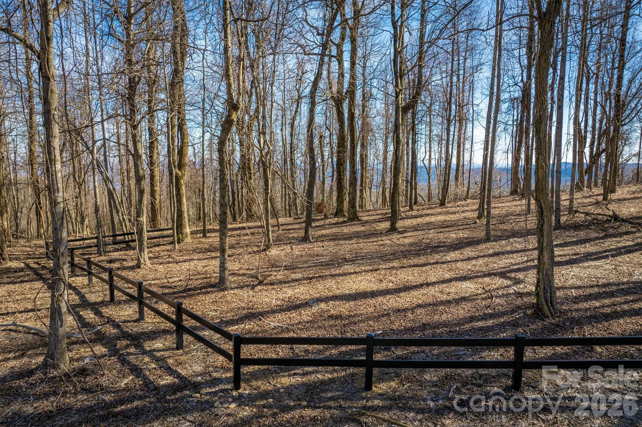 Walkertop Mountain Overlook - Land