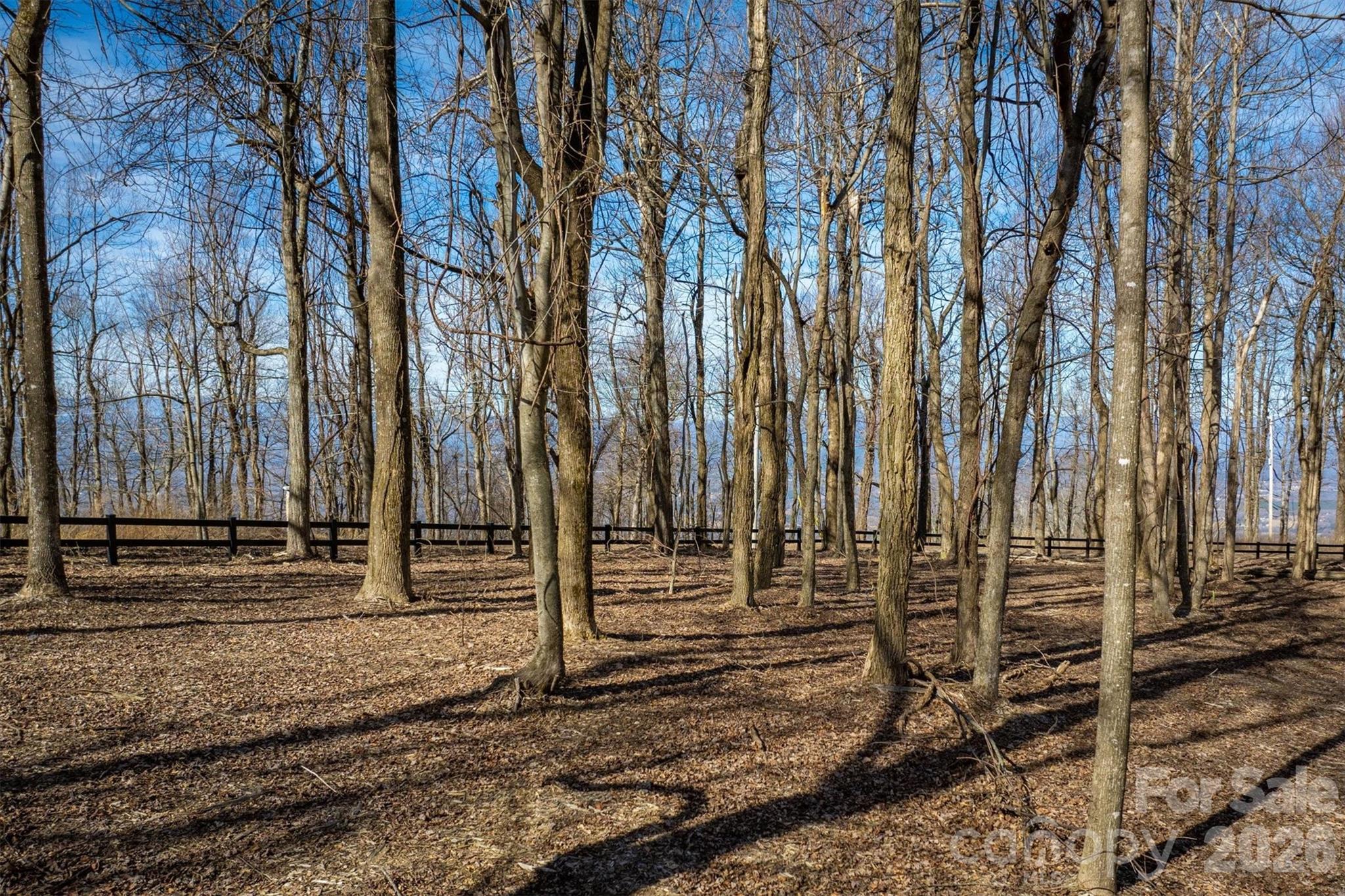 Walkertop Mountain Overlook - Land