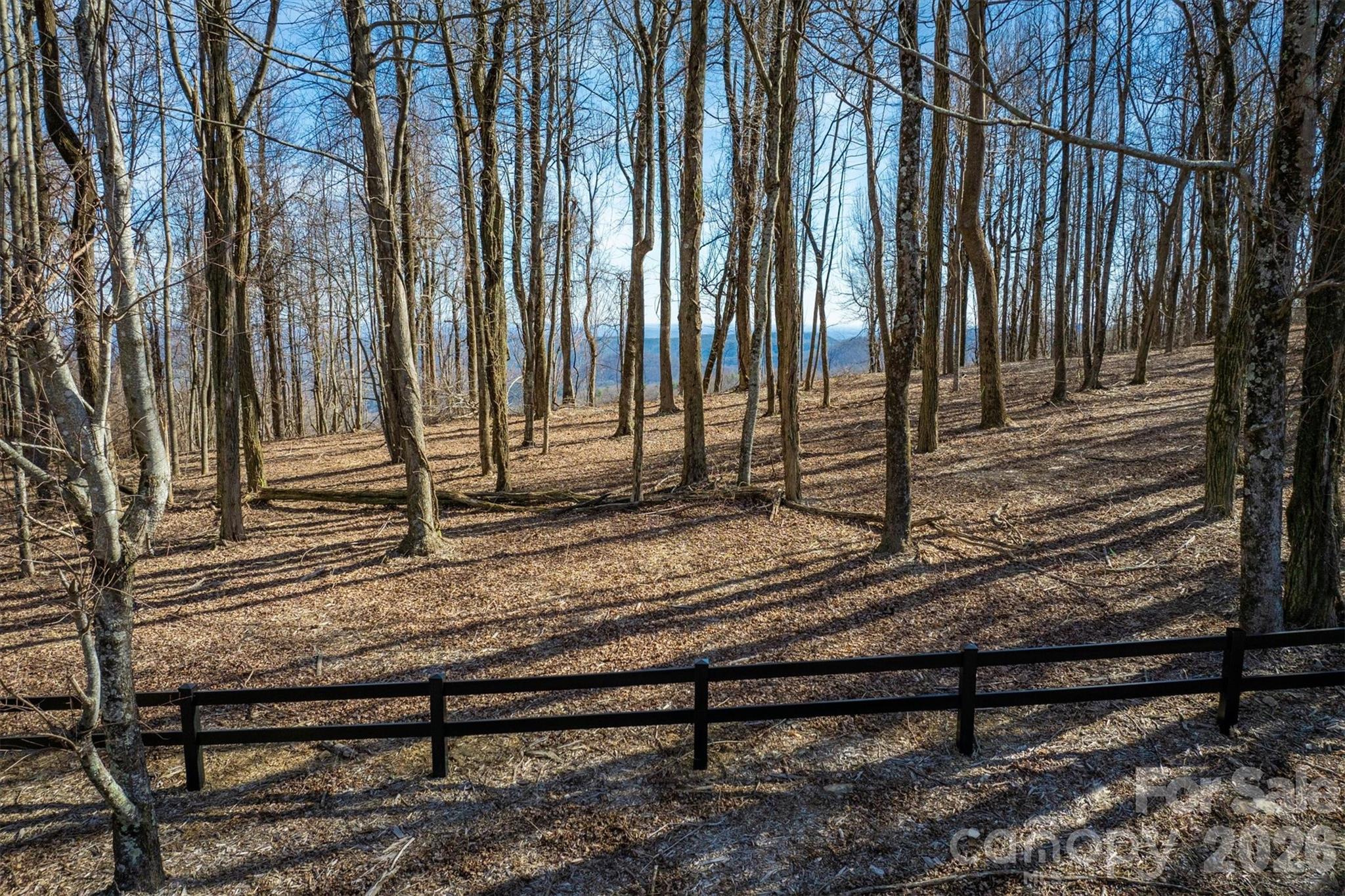 Walkertop Mountain Overlook - Land
