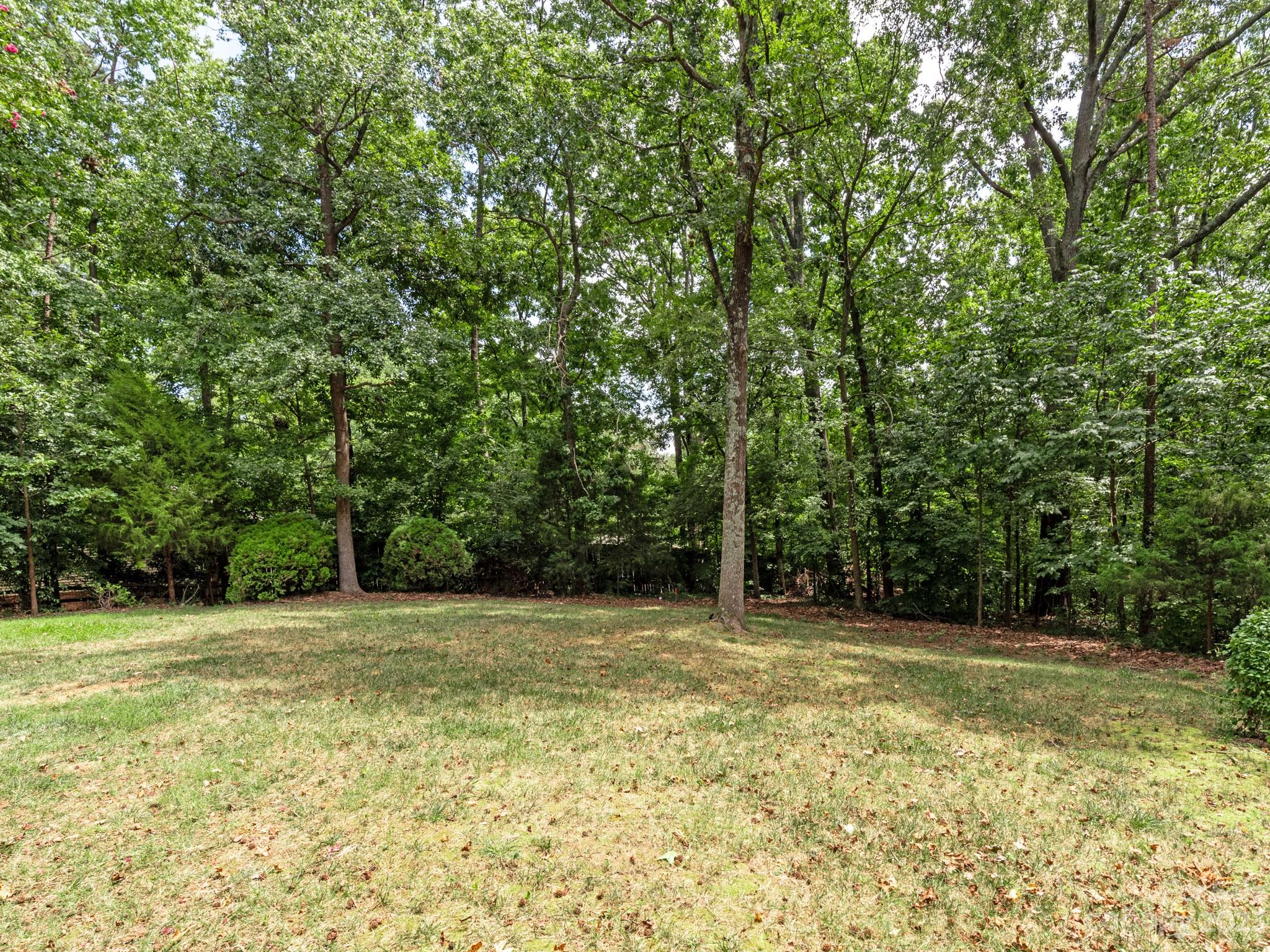Beech Bluff - Residential