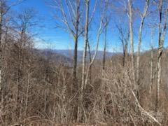 Mountain Air - Land