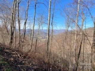 Mountain Air - Land