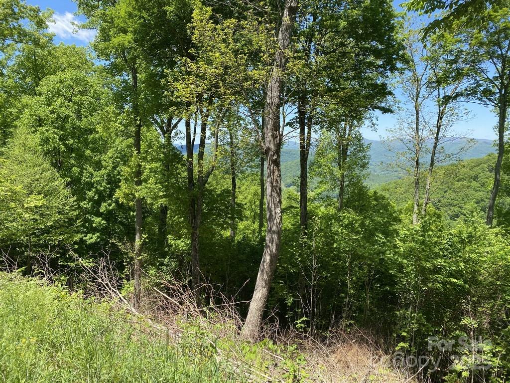 Mountain Air - Land