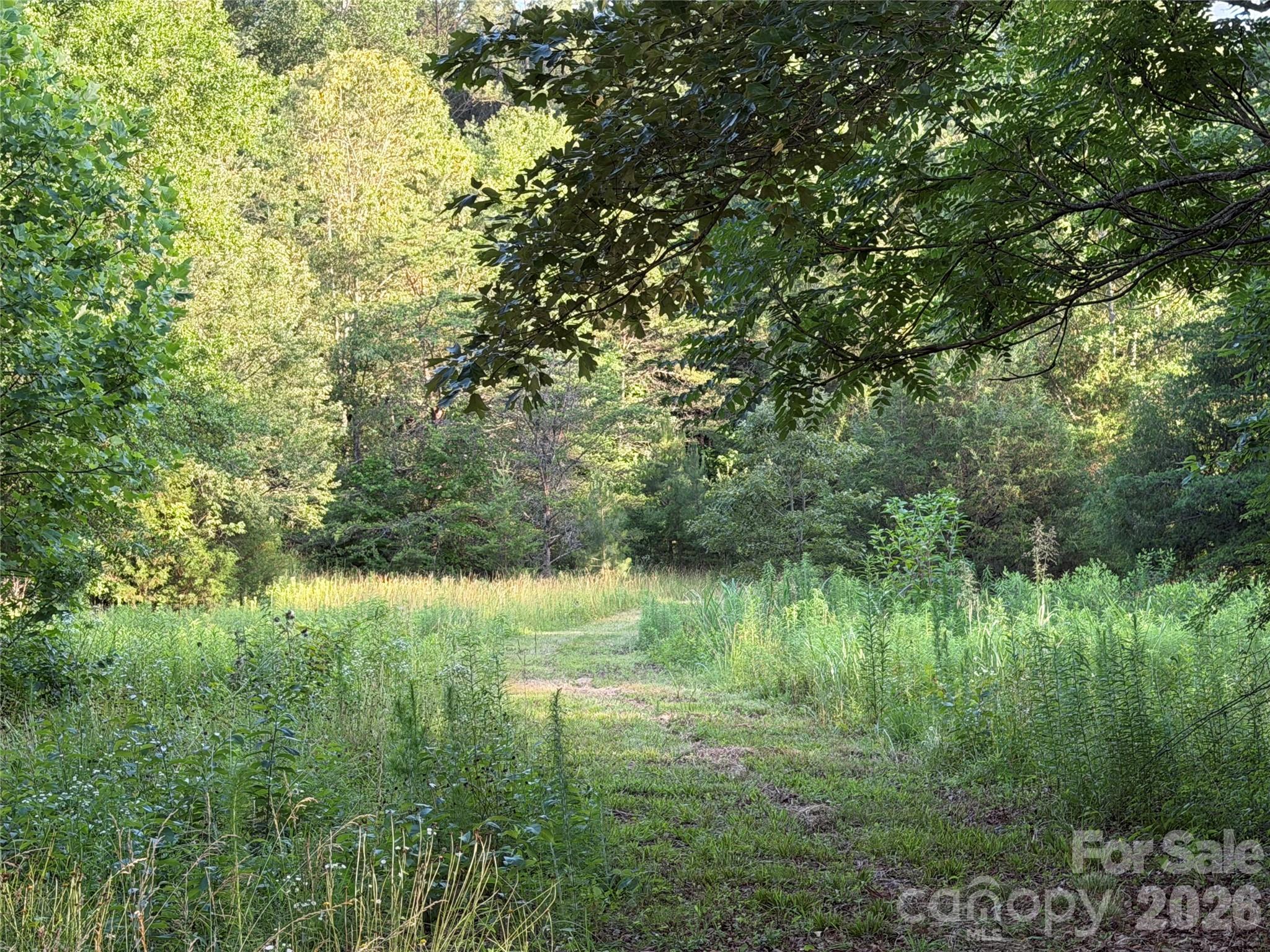 Haywood Meadows - Land