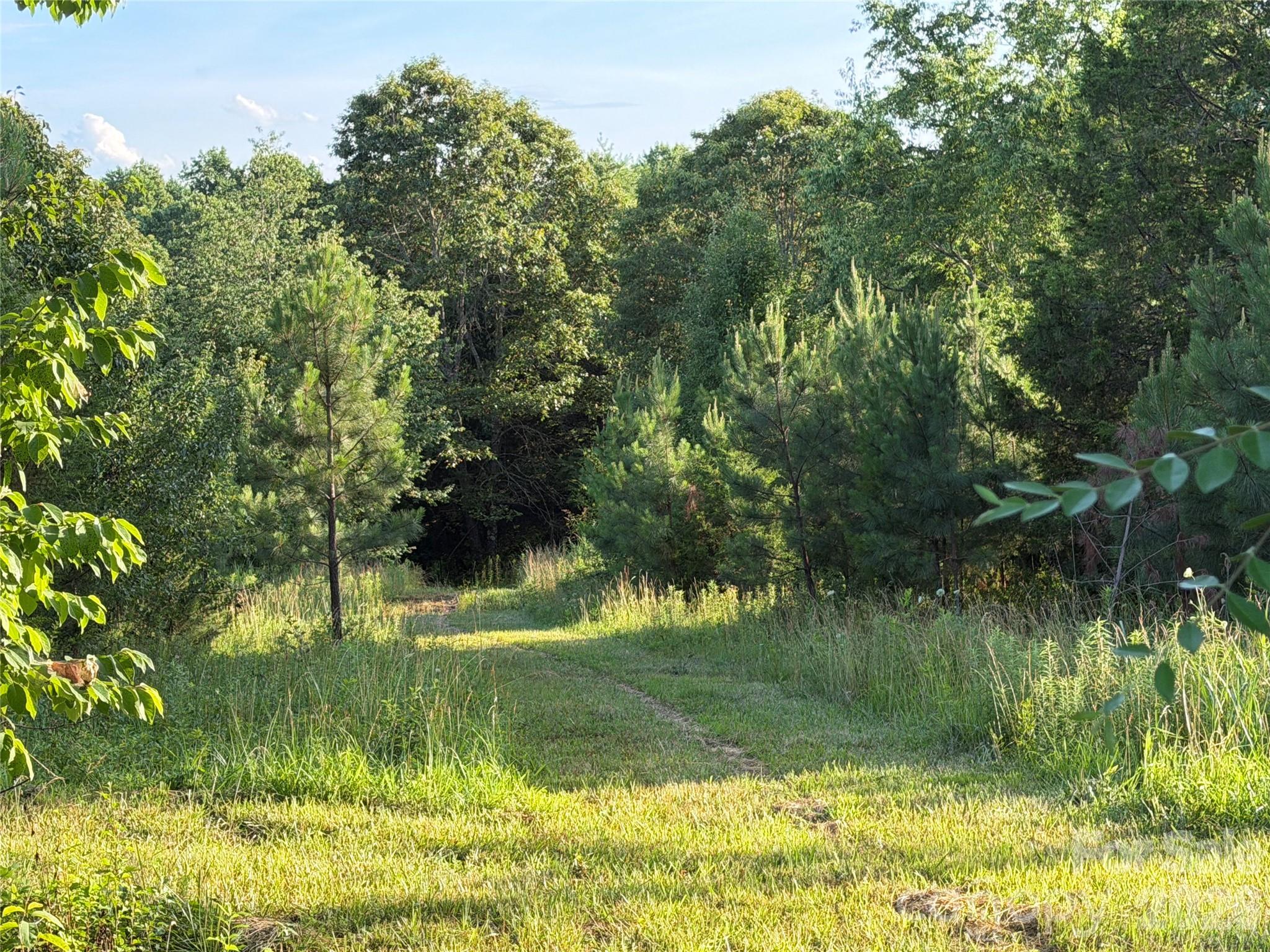 Haywood Meadows - Land