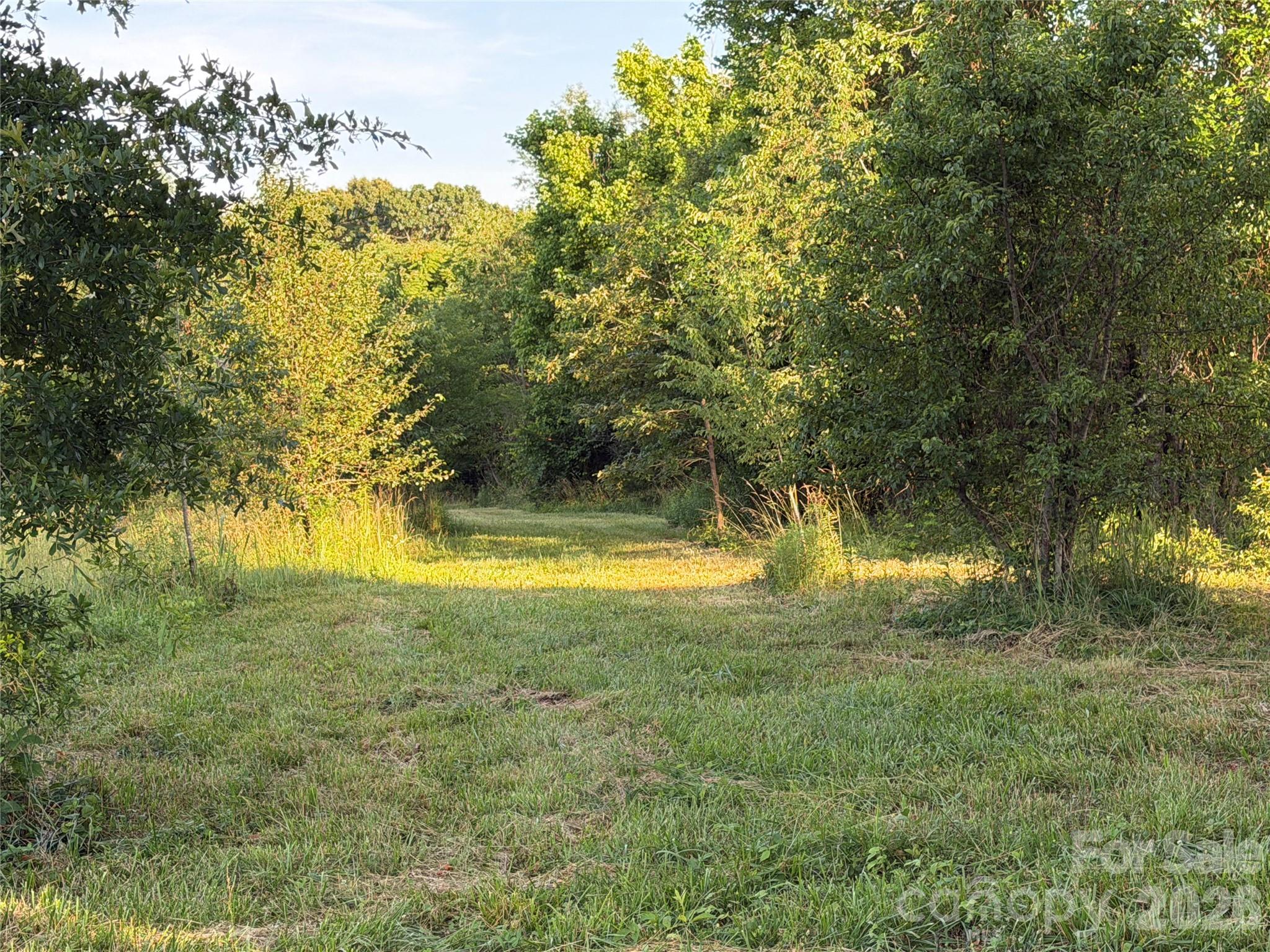 Haywood Meadows - Land