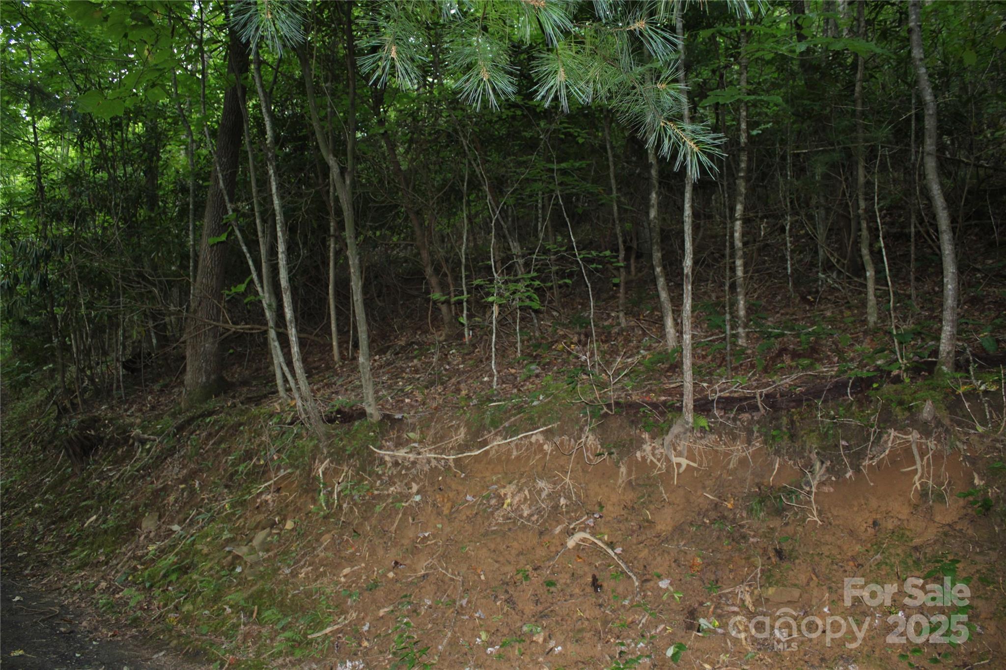 Laurel Hills - Land