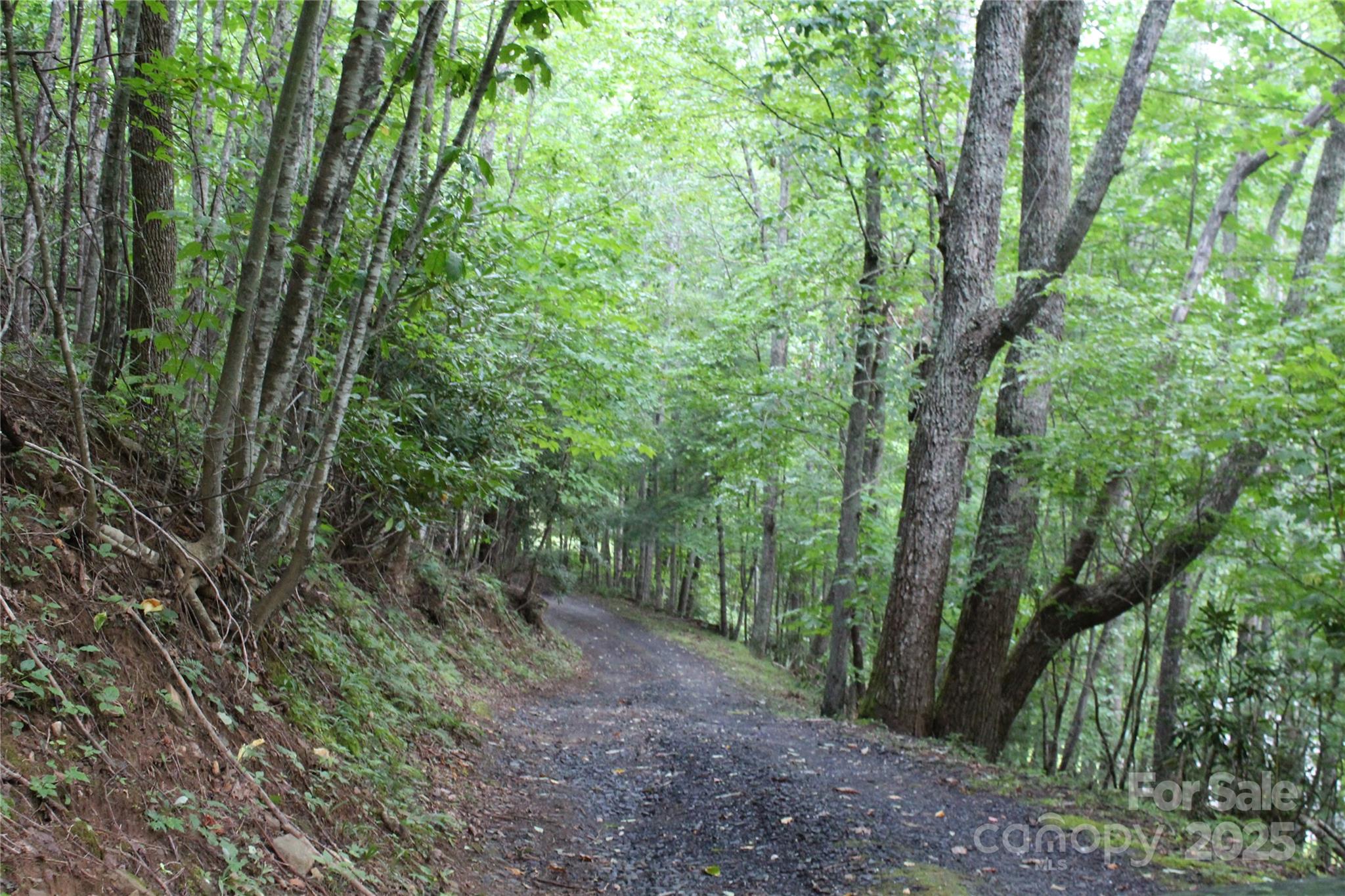 Laurel Hills - Land