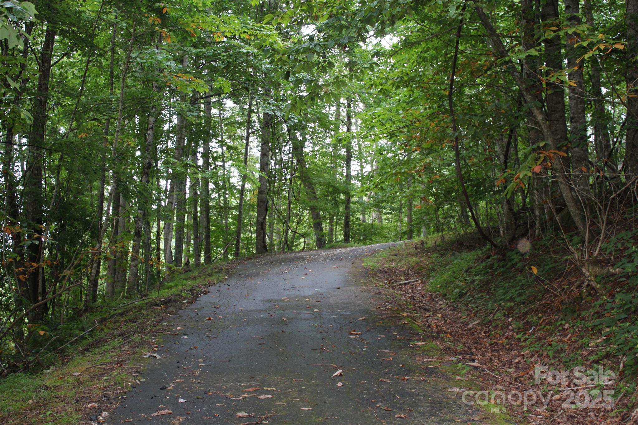 Laurel Hills - Land