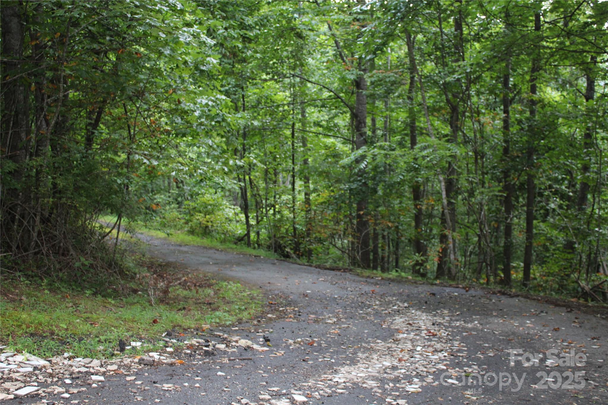 Laurel Hills - Land