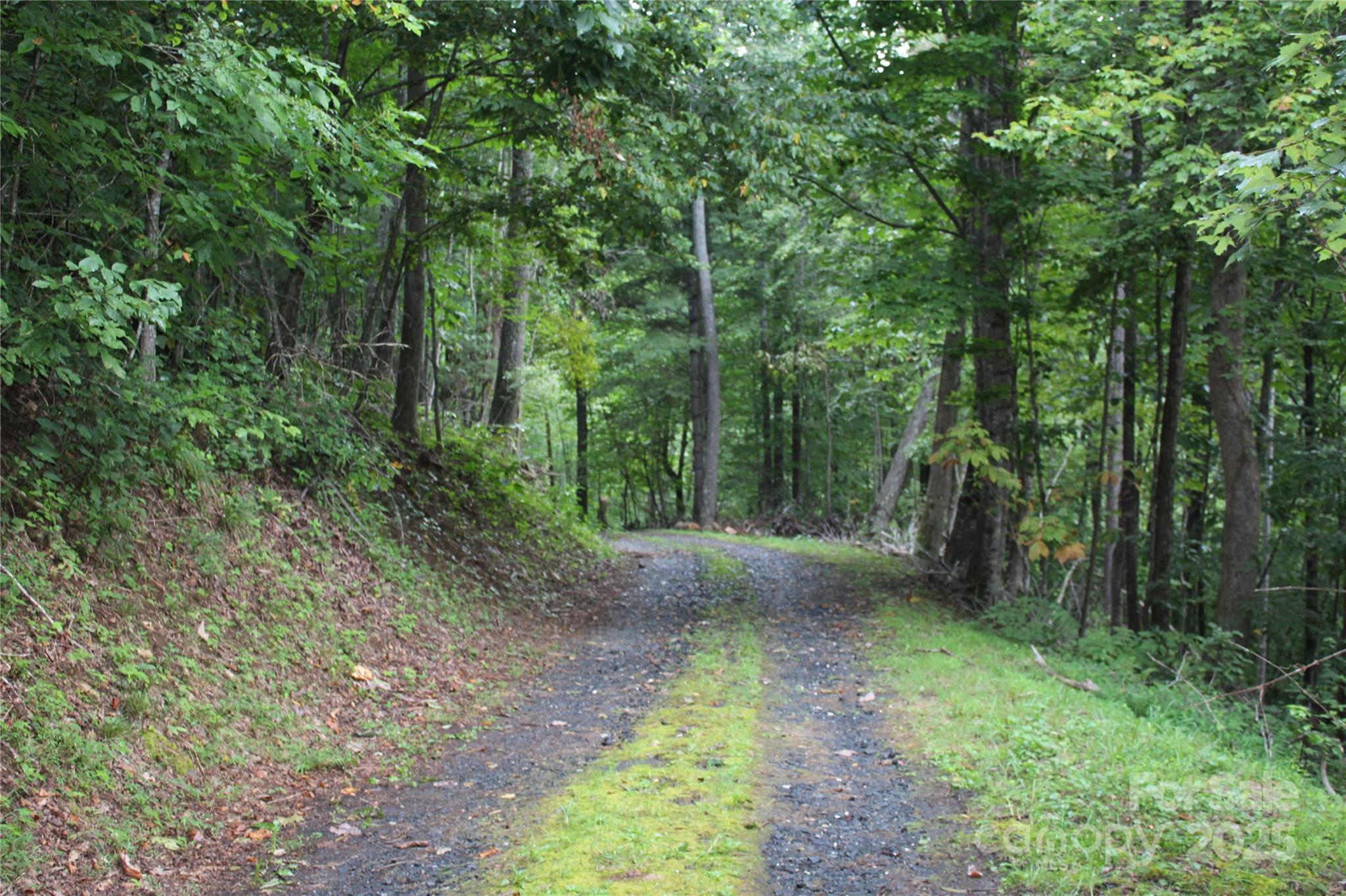 Laurel Hills - Land
