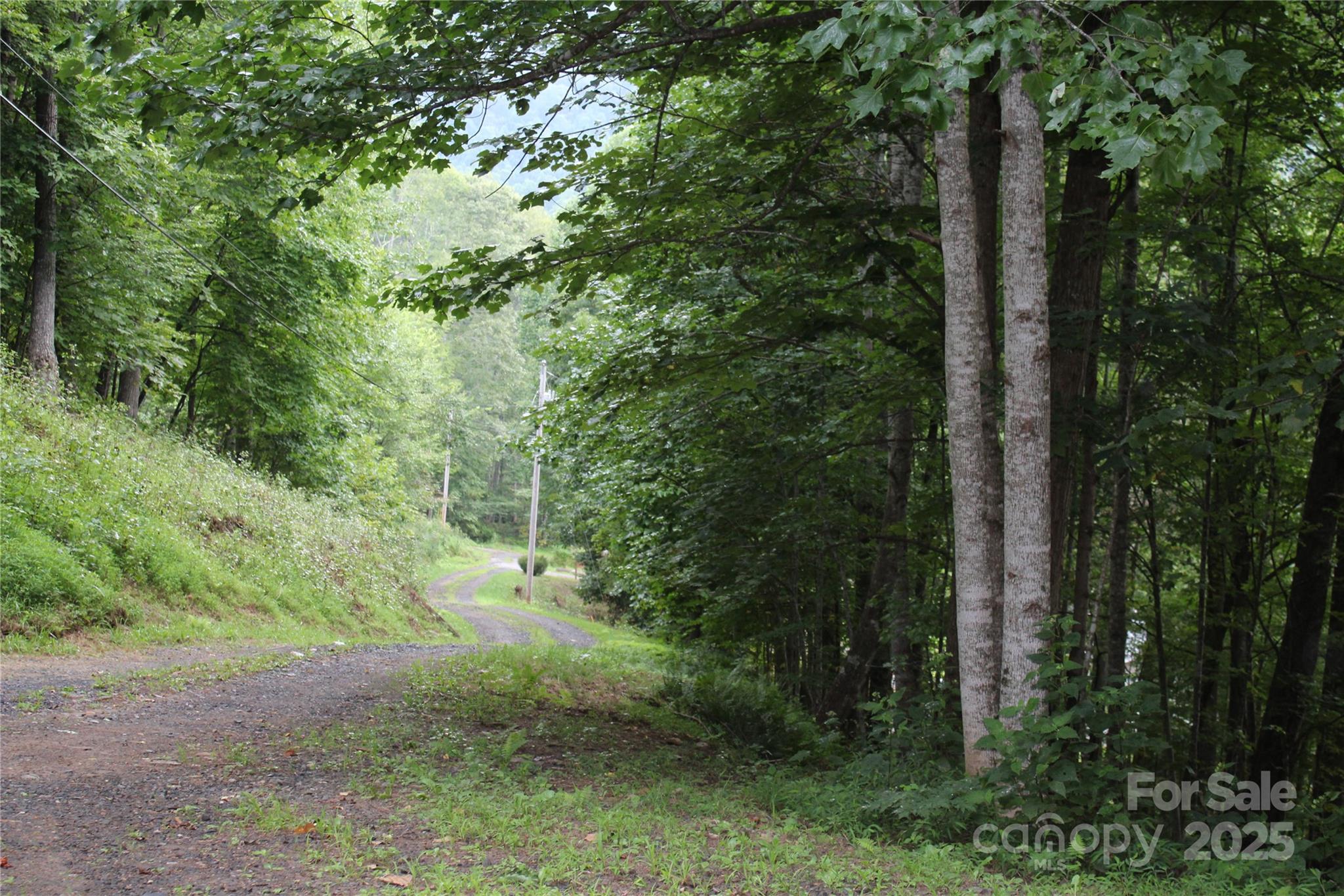 Laurel Hills - Land