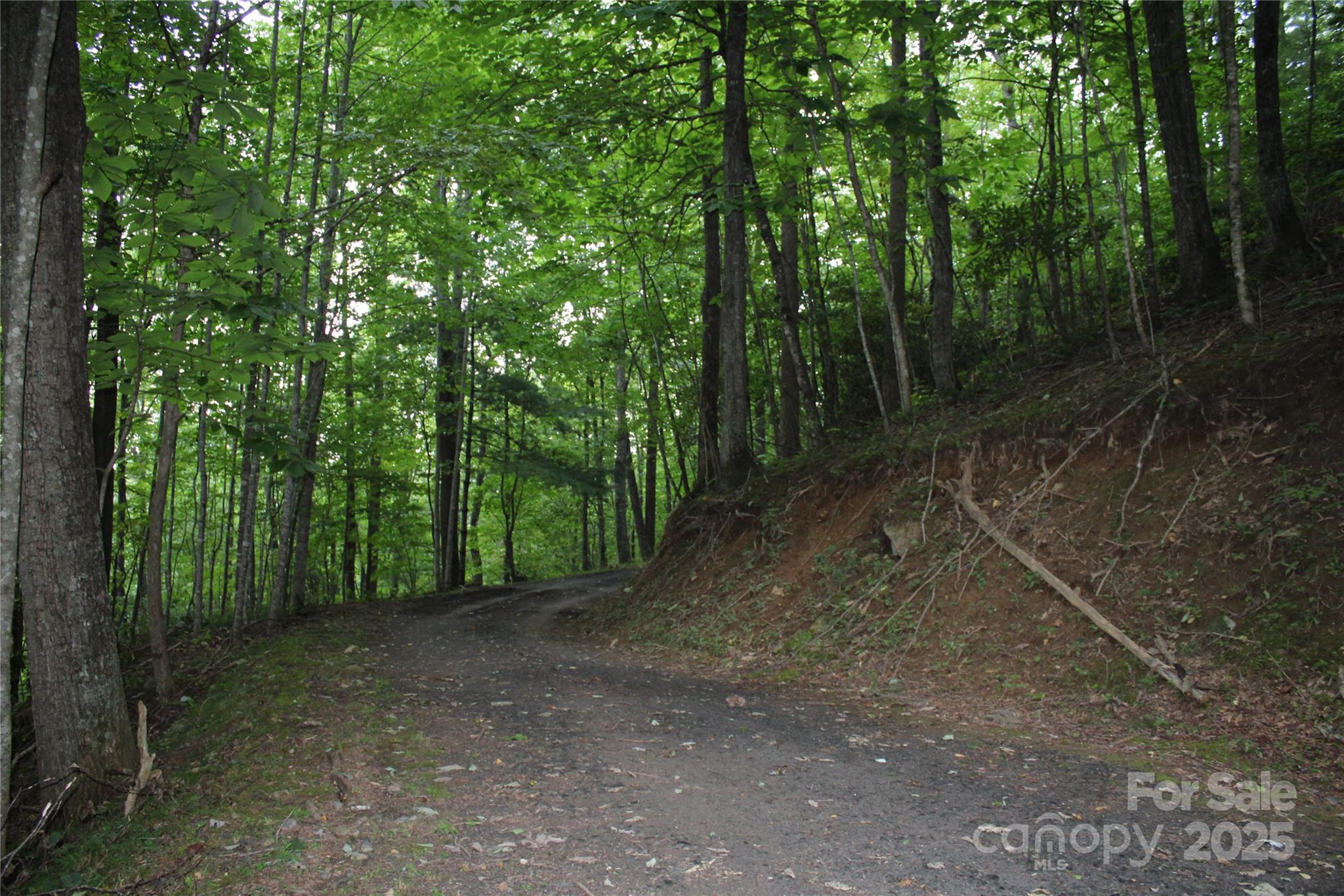 Laurel Hills - Land