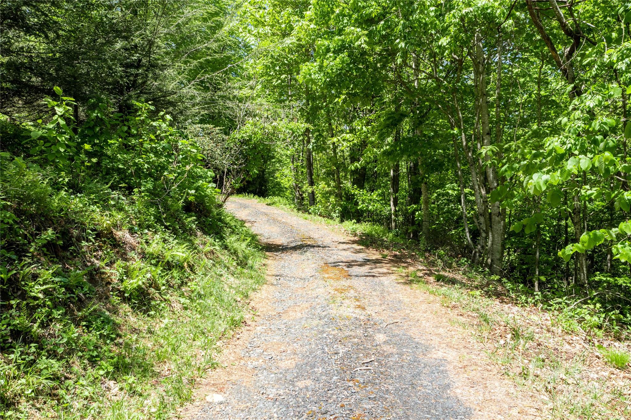 Laurel Hills - Land