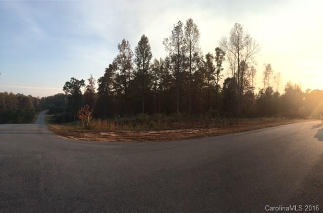 Corner lot in beautiful neighborhood!  Lot is over an acre! Septic Permit for 5 bedroom house!  HOA is not active right now but will be in the future.