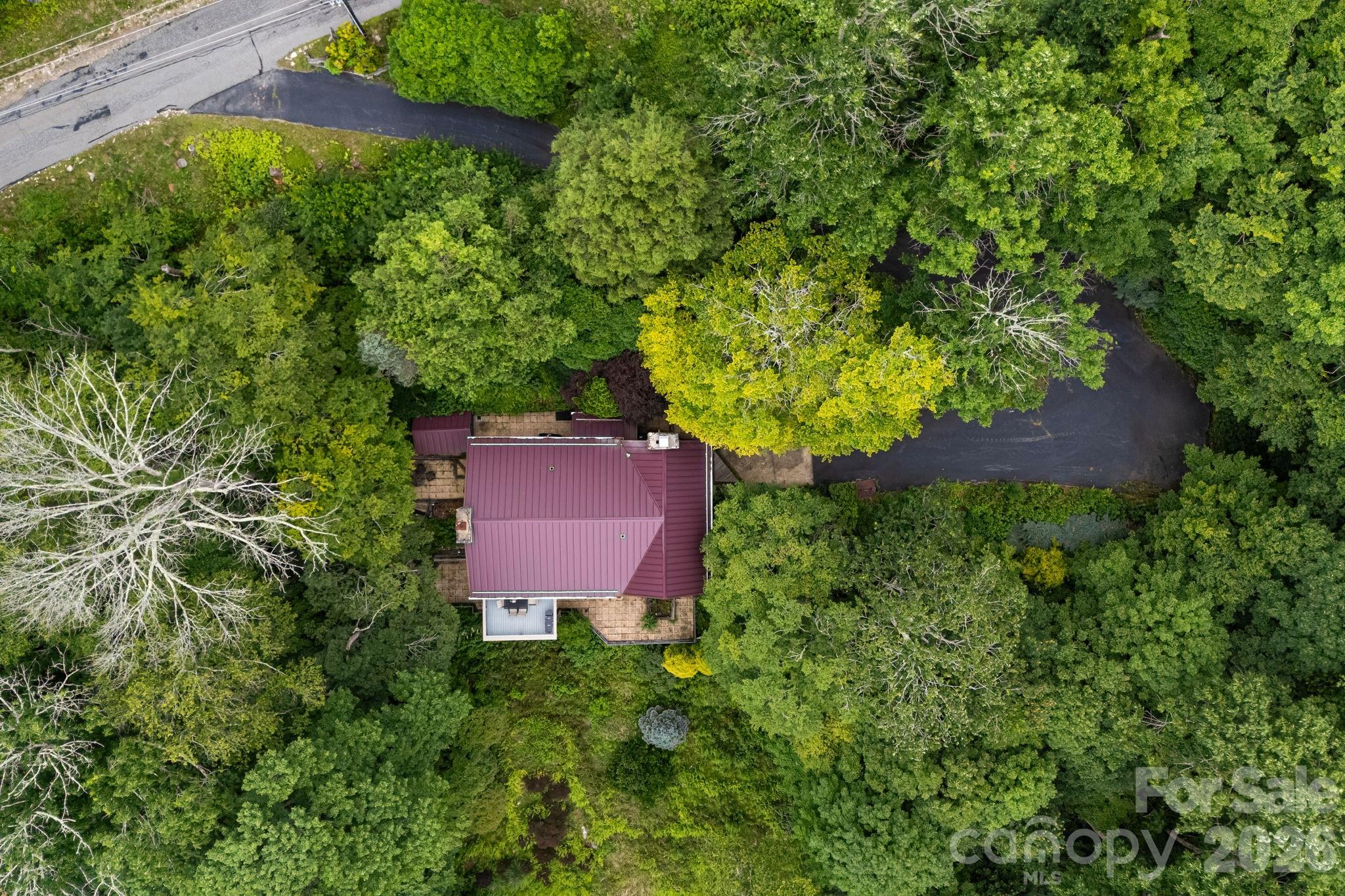 Wolf Laurel - Residential