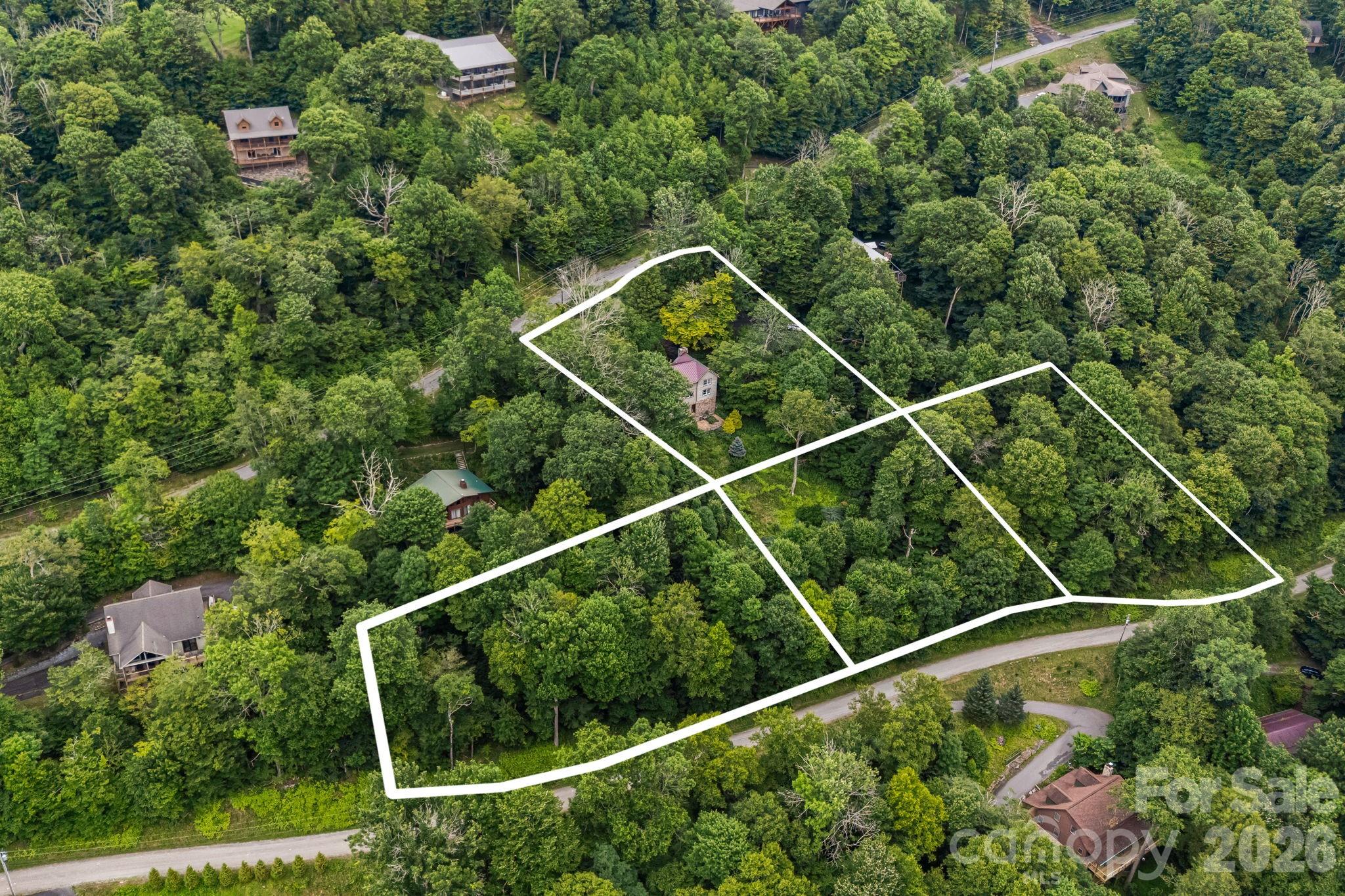 Wolf Laurel - Residential