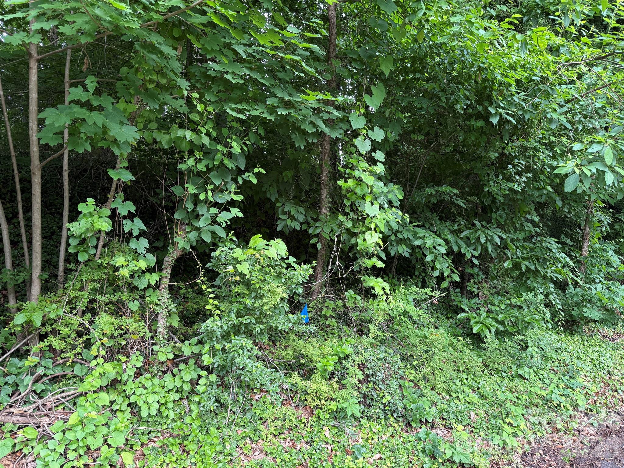 Buildable lot just minutes from all Biltmore Forest and downtown Asheville have to offer.