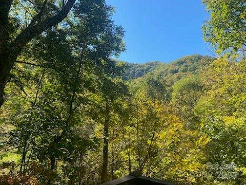 Smoky Mountain Retreat at Eagles Nest - Land